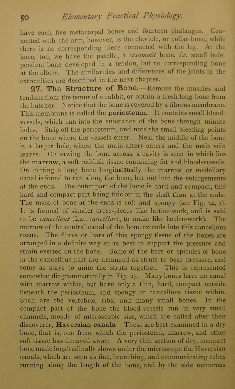 have each five metacarpal bones and fourteen phalanges. Con- nected with the arm, however, is the clavicle, or collar-bone, while there is no corresponding piece connected with the leg. At the knee, too, we have the patella, a sesamoid bone, i.c. small inde- pendent bone developed in a tendon, but no corresponding bone at the elbow. The similarities and differences of the joints in the extremities are described in the next chapter. 27. The Structure of Bone.—Remove the muscles and tendons from the femur of a rabbit, or obtain a fresh long bone from the butcher. Notice that the bone is covered by a fibrous membrane. This membrane is called the periosteum. It contains small blood- vessels, which run into the substance of the bone through minute holes. Strip off the periosteum, and note the smalt bleeding points on the bone where the vessels enter. Near the middle of the bone is a larger hole, where the main artery enters and the main vein leaves. On sawing the bone across, a cavity is seen in which lies the marrow, a soft reddish tissue containing fat and blood-vessels. On cutting a long bone longitudinally the marrow or medullar}' canal is found to run along the bone, but not into the enlargements at the ends. The outer part of the bone is hard and compact, this hard and compact part being thicker in the shaft than at the ends. The mass of bone at the ends is soft and spongy (see Fig. 34, i). It is formed of slender cross-pieces like lattice-work, and is said to be cancelloics (Lat. cancellare., to make like lattice-work). The marrow of the central canal of the bone extends into this cancellous tissue. The fibres or bars of this spongy tissue of the bones are arranged in a definite way so as best to support the pressure and strain exerted on the bone. Some of the bars or spicules of bone in the cancellous part are arranged as struts to bear pressure, and some as stays to unite the struts together. This is represented somewhat diagrammatically in Fig. 27. Many bones have no canal with marrow within, but have only a thin, hard, compact outside beneath the periosteum, and spong}' or cancellous tissue within. Such are the vertebrae, ribs, and many small bones. In the compact part of the bone the blood-vessels run in very small channels, mostly of microscopic size, which are called after their discoverer, Haversian canals. These are best examined in a dry bone, that is, one from which the periosteum, marrow, and other soft tissue has decayed away. A very thin section of dr}', compact bone made longitudinally shows under the microscope the Haversian canals, which are seen as fine, branching, and communicating tubes running along the length of the bone, and by the side numerous