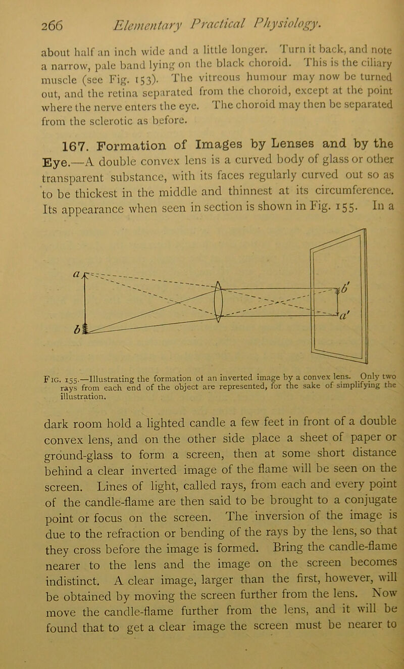 about half an inch wide and a little longer. Turn it back, and note ^ pale band lying on the black choroid. 1 his is the ciliary muscle (see Fig. 153). The vitreous humour may now be turned out, and the retina separated from the choroid, e.xcept at the point where the nerve enters the eye. The choroid may then be separated from the sclerotic as before. 167. Formation of Images by Lenses and by the Eye.—A double convex lens is a curved body of glass or other transparent substance, with its faces regularly curved out so as to be thickest in the middle and thinnest at its circumference. Its appearance when seen in section is shown in Fig. 155- Li a Fig. 155.—Illustrating the formation ot an inverted image by a convex lens. Only two rays from each, end of the object are represented, for the sake of simplifying the illustration, dark room hold a lighted candle a few feet in front of a double convex lens, and on the other side place a sheet of paper or- ground-glass to form a screen, then at some short distance behind a clear inverted image of the flame will be seen on the screen. Lines of light, called rays, from each and every point of the candle-flame are then said to be brought to a conjugate point or focus on the screen. The inversion of the image is due to the refraction or bending of the rays by the lens, so that they cross before the image is formed. Bring the candle-flame nearer to the lens and the image on the screen becomes indistinct. A clear image, larger than the first, however, will be obtained by moving the screen further from the lens. Now move the candle-flame further from the lens, and it will be found that to get a clear image the screen must be nearer to