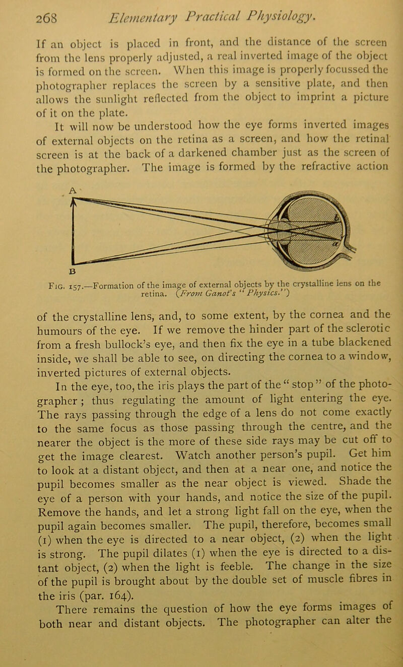 If an object is placed in front, and the distance of the screen from the lens properly adjusted, a real inverted image of the object is formed on the screen. When this image is properly focussed the photographer replaces the screen by a sensitive plate, and then allows the sunlight reflected from the object to imprint a picture of it on the plate. It will now be understood how the eye forms inverted images of external objects on the retina as a screen, and how the retinal screen is at the back of a darkened chamber just as the screen of the photographer. The image is formed by the refractive action Fig. 157.—Formation of the image of external objects by the crystalline lens on the retina. ^Fro7ti Ganot's “Physics.’) of the crystalline lens, and, to some extent, by the cornea and the humours of the eye. If we remove the hinder part of the sclerotic from a fresh bullock’s eye, and then fix the eye in a tube blackened inside, we shall be able to see, on directing the cornea to a window, inverted pictures of external objects. In the eye, too, the iris plays the part of the “ stop ” of the photo- grapher ; thus regulating the amount of light entering the eye. The rays passing through the edge of a lens do not come exactly to the same focus as those passing through the centre, and the nearer the object is the more of these side rays may be cut off to get the image clearest. Watch another person’s pupil. Get him to look at a distant object, and then at a near one, and notice the pupil becomes smaller as the near object is viewed. Shade the eye of a person with your hands, and notice the size of the pupil. Remove the hands, and let a strong light fall on the eye, when the pupil again becomes smaller. The pupil, therefore, becomes small (i) when the eye is directed to a near object, (2) when the light is strong. The pupil dilates (i) when the eye is directed to a dis- tant object, (2) when the light is feeble. The change in the size of the pupil is brought about by the double set of muscle fibres in the iris (par. 164). There remains the question of how the eye forms images of both near and distant objects. The photographer can alter the