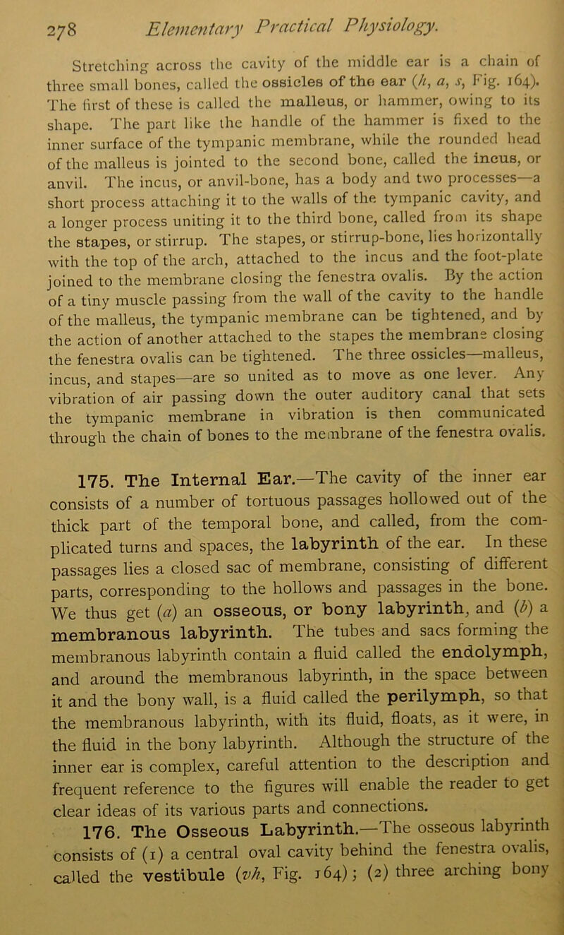 Stretching across the cavity of the middle ear is a chain of three small bones, called the ossicles of the ear (/f, <2, I'ig. i64)- The first of these is called the malleus, or hammer, owing to its shape. The part like the handle of the hammer is fixed to the inner surface of the tympanic membrane, while the rounded head of the malleus is jointed to the second bone, called the incus, or anvil. The incus, or anvil-bone, has a body and two processes—a short process attaching it to the walls of the tympanic cavity, and a longer process uniting it to the third bone, called from its shape the stapes, or stirrup. The stapes, or stirrup-bone, lies horizontally with the top of the arch, attached to the incus and the foot-plate joined to the membrane closing the fenestra ovalis. By the action of a tiny muscle passing from the wall of the cavity to the handle of the malleus, the tympanic membrane can be tightened, and by the action of another attached to the stapes the membrane closing the fenestra ovalis can be tightened. The three ossicles malleus, incus, and stapes—are so united as to move as one lever. Any vibration of air passing down the outer auditory canal that sets the tympanic membrane in vibration is then communicated through the chain of bones to the membrane of the fenestra ovalis. 175. The Internal Ear.—The cavity of the inner ear consists of a number of tortuous passages hollowed out of the thick part of the temporal bone, and called, from the com- plicated turns and spaces, the labyrinth of the ear. In these passages lies a closed sac of membrane, consisting of different parts, corresponding to the hollows and passages in the bone. We thus get {a) an osseous, or bony labyrinth, and {b) a membranous labyrinth. The tubes and sacs forming the membranous labyrinth contain a fluid called the endolymph, and around the membranous labyrinth, in the space between it and the bony wall, is a fluid called the perilymph, so that the membranous labyrinth, with its fluid, floats, as it were, in the fluid in the bony labyrinth. Although the structure of the inner ear is complex, careful attention to the description and frequent reference to the figures will enable the reader to get clear ideas of its various parts and connections. 176. The Osseous Labyrinth.—The osseous labyrinth consists of (i) a central oval cavity behind the fenestra ovalis, called the vestibule {yh. Fig. 164); (2) three arching bony
