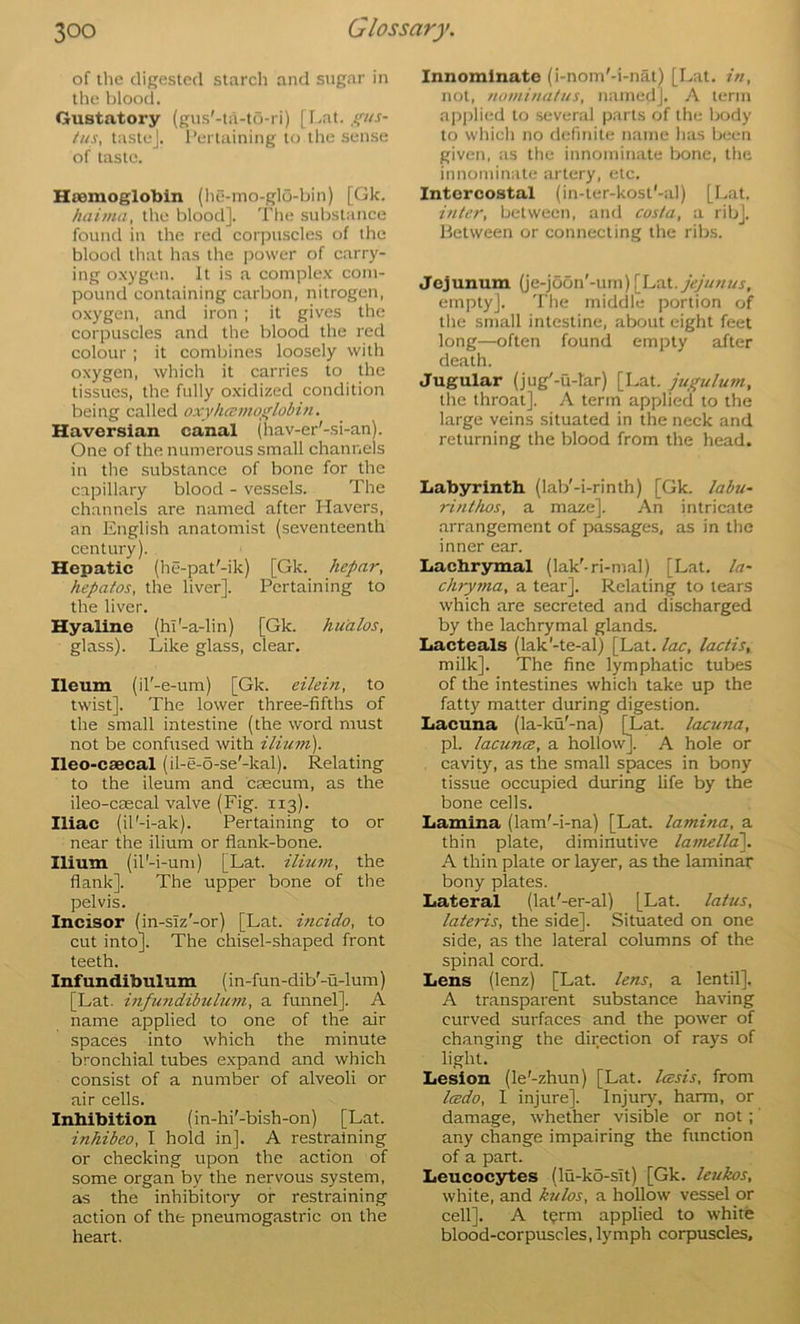 of the digested starch and sugar in the blood. Gustatory (gus'-ta-tu-ri) [I.at. tus, lastej. I’ertaining to the sense of taste. Haemoglobin (he-mo-glo-bin) [Gk. haimti, the blood]. The substance found in the red corpuscles of the blood that has the power of carry- ing oxygen. It is a complex com- pound containing carbon, nitrogen, oxygen, and iron; it gives the corpuscles and the blood the red colour ; it combines loosely with oxygen, which it carries to the tissues, the fully oxidized condition being called oxyhcemoglobin. Haversian canal (hav-er'-si-an). One of the numerous small channels in the substance of bone for the capillary blood - vessels. The channels are named after Havers, an English anatomist (seventeenth century). Hepatic (he-pat'-ik) [Gk. hepar, hepatos, the liver]. Pertaining to the liver. Hyaline (hi'-a-lin) [Gk. hu'alos, glass). Like glass, clear. Ileum (il'-e-um) [Gk. eilein, to twist]. The lower three-fifths of the small intestine (the word must not be confused with ilium). Ileo-csecal (il-e-o-se'-kal). Relating to the ileum and caecum, as the ileo-cascal valve (Fig. 113). Iliac (il'-i-ak). Pertaining to or near the ilium or flank-bone. Ilium (il'-i-um) [Lat. ilimn, the flank]. The upper bone of the pelvis. Incisor (in-siz'-or) [Lat. incido, to cut into]. The chisel-shaped front teeth. Infundibulum (in-fun-dib'-u-lum) [Lat. infu7idibulum, a funnel]. A name applied to one of the air spaces into which the minute bronchial tubes expand and which consist of a number of alveoli or air cells. Inbibition (in-hi'-bish-on) [Lat. inliibeo, I hold in]. A restraining or checking upon the action of some organ by the nervous system, as the inhibitory or restraining action of the pneumogastric on the heart. Innominate (i-nom'-i-nat) [Lat. in, not, nominatus, named]. A term applied to several parts of the body to wliich no definite name has been given, as the innominate bone, the innominate artery, etc. Intercostal (in-ter-kost'-al) [Lat. inter, between, aiul costa, a ribj. Between or connecting the ribs. Jejunum (je-jdon'-um) jejttnus, empty]. 'Plie middle portion of the small intestine, about eight feet long—often found empty after death. Jugular (jug'-u-lar) [Lat. jugulum, the throat]. A term applied to tlie large veins situated in the neck and returning the blood from the head. Labyrinth (lab'-i-rinth) [Gk. labu- rinthos, a maze]. An intricate arrangement of passages, as in the inner ear. Lachrymal (lak'-ri-mal) [Lat. la- chrpna, a tear]. Relating to tears which are secreted and discharged by the lachrymal glands. Lacteals (lak'-te-al) [Lat. Iclc, lactis, milk]. The fine lymphatic tubes of the intestines which take up the fatty matter during digestion. Lacuna (la-ku'-na) [Lat. lacuna, pi. lacunce, a hollow^. A hole or cavity, as the small spaces in bony tissue occupied during life by the bone cells. Lamina (lam'-i-na) [Lat. lamina, a thin plate, diminutive latnelld]. A thin plate or layer, as the laminar bony plates. Lateral (lat'-er-al) [Lat. latus, lateris, the side]. Situated on one side, as the lateral columns of the spinal cord. Lens (lenz) [Lat. lens, a lentil], A transparent substance having curved surfaces and the power of changing the direction of rays of light. Lesion (le'-zhun) [Lat. Icesis, from Icedo, I injure]. Injury, harm, or damage, whether visible or not; any change impairing the function of a part. Leucocytes (lu-ko-sit) [Gk. leukos, white, and kulos, a hollow vessel or cell]. A term applied to white blood-corpuscles, lymph corpuscles.