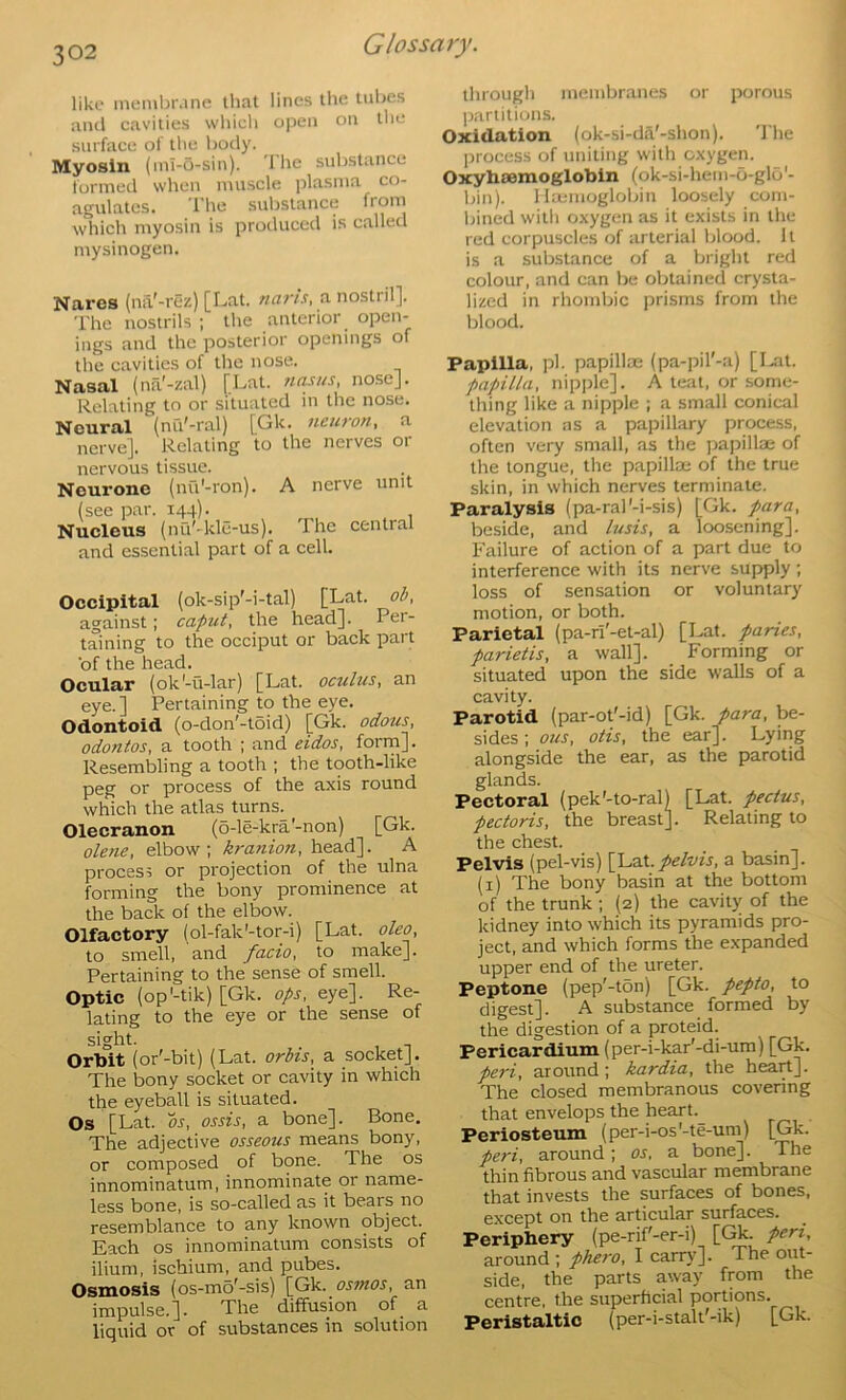 like membrane that lines the tulies and cavities whicli open on the surface of the body. Myosin (ml-o-sin). The substance formed when muscle plasma co- agulates. The substance from which myosin is produced is called mysinogen. Nares (na'-rez) [Lat. nans, a nostril]. The nostrils ; the anterior open- ings and the posterior openings of the cavities of the nose. Nasal (na'-zal) [Lat. nnyis, nose]. Relating to or situated in the nose. Neural (mV-ral) [Gk. neuron, a nervej. Relating to the nerves or nervous tissue. Neurone (nu'-ron). A nerve unit (see par. 144). Nueleus (nu^-kle-us). The central and essential part of a cell. Occipital (ok-sip'-i-tal) [Lat. ob, against; caput, the head]. Per- taining to the occiput or back part of the head. Ocular (ok'-u-lar) [Lat. oculus, an eye.] Pertaining to the eye. Odontoid (o-don'-toid) [Gk. odous, odontos, a tooth ; and eidos, form]. Resembling a tooth ; the tooth-like peg or process of the axis round which the atlas turns. Olecranon (6-le-kra'-non) [Gk. olene, elbow; kranion, head]. A process or projection of the ulna forming the bony prominence at the back of the elbow. Olfactory (ol-fak'-tor-i) [Lat. oleo, to smell, and facio, to make]. Pertaining to the sense of smell. Optic (op'-tik) [Gk. ops, eye]. Re- lating to the eye or the sense of sicrht. Orbit (or'-bit) (Lat. orbis, a socket]. The bony socket or cavity in which the eyeball is situated. Os [Lat. or, ossis, a bone]. Bone. The adjective osseous means bony, or composed of bone. The os innominatum, innominate or name- less bone, is so-called as it bears no resemblance to any known object. Each os innominatum consists of ilium, ischium, and pubes. Osmosis (os-mo'-sis) [Gk. osmos, an impulse.]. The diffusion of a liquid or of substances in solution through membr.anes or porous jiarlilions. Oxidation (ok-si-da'-shon). 'J'he process of uniting with oxygen. OxyhJBmoglobin (ok-si-hem-o-glo '- bin). llamioglobiu loosely com- liined willi oxygen as it exists in the red corpuscles of arterial blood. It is a substance of a bright red colour, and can be obtained crysta- lized in rhombic prisms from the blood. Papilla, pi. papillm (pa-pil'-a) [I^at. papilla, nipjile]. A teal, or some- tliing like a nipple ; a small conical elevation as a papillary proce.ss, often very small, as the papillae of the tongue, the papillae of the true skin, in which nerves terminate. Paralysis (pa-ral'-i-sis) [Gk. para, beside, and lusis, a loosening]. Failure of action of a part due to interference with its nerve supply ; loss of sensation or voluntary motion, or both. Parietal (pa-rl'-et-al) [Lat. paries, parietis, a wall]. Forming or situated upon the side walls of a cavity. Parotid (par-ot'-id) [Gk. para, be- sides; ous, otis, the ear]. Lying alongside the ear, as the parotid glands. Pectoral (pek'-to-ral) [Lat. pectus, pectoris, the breast]. Relating to the chest. Pelvis (pel-vis) pelvis, a basin], (i) The bony basin at the bottom of the trunk; (2) the cavity of the kidney into which its pyramids pro- ject, and which forms the expanded upper end of the ureter. Peptone (pep'-ton) [Gk. pepto, to digest]. A substance formed by the digestion of a proteid. Pericardium (per-i-kar'-di-um) [Gk. peri, around; kardia, the heart]. The closed membranous covering that envelops the heart.^ Periosteum (per-i-os'-te-um) [Gk. peri, around; os, a bone]. The thin fibrous and vascular membrane that invests the surfaces of bones, except on the articular surfaces. Periphery (pe-rif'-er-i) [Gk. pen, around ; phero, I carry]. The out- side, the parts away from the centre, the superficial portions. Peristaltic (per-i-stalt'-ik) [Gk.