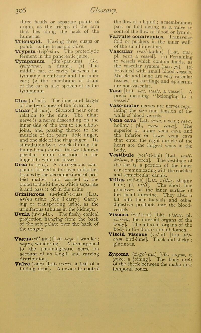 three heads or separate points of origin, as tlie triceps of the arm that lies along the back of the humerus. Tricuspid. Having three cusps or pofnts, as the tricuspid valve. Trypsin (trip'-sin). 'I'he proteolytic ferment in the pancreatic juice. Tympanum (tim'-pan-um) [Gk. tympanon, a drum]. (1) The middle ear, or cavity between the tympanic membrane and the inner ear; (2) the membrane or drum of the ear is also spoken of as the tympanum. Ulna (ul'-na). The inner and larger of the two bones of the forearm. Ulnar (ul'-nar). Situated near or in relation to the ulna. The ulnar nerve is a nerve descending on the inner side of the arm to the elbow- joint, and passing thence to the muscles of the palm, little finger, and one side of the ring finger. Its stimulation by a knock (hilling the funny-bone) causes the well-known peculiar numb sensation in the fingers to which it passes. Urea (u'-re-a). A nitrogenous com- pound formed in the liver and other tissues by the decomposition of pro- teid matter, and carried by the blood to the kidneys, which separate it and pass it off in the urine. Uriniferous (u-ri-nif'-e-rus) [Lat. urina, urine ; fero, I carry]. Carry- ing or transporting urine, as the uriniferous tubules in the kidneys. Uvula (ti'-vu-la). The fleshy conical projection hanging from the back of the soft palate over the back of the tongue. Vagus (va'-gus) [Lat. vago, I wander; vagus, wandering], A term applied to the pneumogastric nerve on account of its length and varying distribution. Valve (valv) [Lat. valva, a leaf of a folding door]. A device to control the flow of a liquid ; a membranous part or fold acting as a valve to control the flow of blood or lymph. Valvulte conniventes. 'I'ransver.se fold or puckers in the inner walls of the small intestine. Vascular (vas'-ku-lar) [Lat. vas; pi. vasa, a vessel], (i) Pertaining to vessels which contain fluids, as the vascular system (par. 72). (2) Provided with small blood-vessels. Muscle and bone are very vascular tissues, but cartilage and epidermis are non-vascular. Vase [Lat. vas, vasis, a vessel]. A prefix meaning “belonging to a vessel.” Vaso-motor nerves are nerves regu- lating the size and tension of the walls cf blood-vessels. Vena cava [Lat. vena, a vein ; cava, hollow ; pi., vena cavc^. The superior or upper vena cava and the inferior or lower vena cava that enter the right auricle of the heart are the largest veins in the body. Vestibule (ves'-ti-bul) [Lat. vesti- bulum, a porch]. The vestibule of the ear is a portion of the inner ear communicating with the cochlea and semicircular canals. Villus (vil'-us) [Lat. villus, shaggy hair; pi. vill{\. The short, fine processes on the inner surface of the small intestine. They absorb fat into their lacteals and other digestive products into the blood- vessels. Viscera (vis'-e-ra) [Lat. viscus, pi. viscera, the internal organs of the body]. The internal organs of the body in the thorax and abdomen. Viscid viscous (vis'-id) [Lat. vis- cuni, bird-lime]. Thick and sticky ; glutinous. Zygoma (zi-g6'-ma) [Gk. zugon, a yoke, a joining]. The bony arch of the cheek between the malar ana temporal bones.