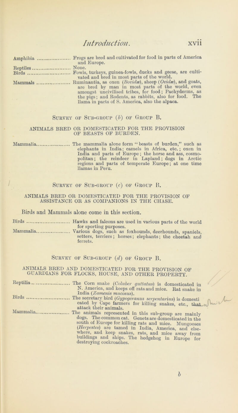 Amphibia Frogs are bred and cultivated for food in parts of America and Europe. Reptiles None. Birds Fowls, turkeys, guinea-fowls, ducks and geese, are culti- vated and bred in most parts of the world. Mammals Ruminantia, as oxen (Bovidte), sheep (Ovidse), and goats, are bred by man in most parts of the world, even amongst uncivilised tribes, for food; Pachyderms, as the pigs; and Rodents, as rabbits, also for food. The llama in parts of S. America, also the alpaca. Survey of Sub-group (b) of Group B. ANIMALS BRED OR DOMESTICATED FOR THE PROVISION OF BEASTS OF BURDEN. Mammalia The mammalia alone form “beasts of burden,” such as elephants in India; camels in Africa, etc.; oxen in India and parts of Europe ; the horse and ass, cosmo- politan ; the reindeer in Lapland; dogs in Arctic regions and parts of temperate Europe; at one time llamas in Peru. Survey of Sub-group (c) of Group 15. ANIMALS BRED OR DOMESTICATED FOR THE PROVISION OF ASSISTANCE OR AS COMPANIONS IN THE CHASE. Birds and Mammals alone come in this section. Birds Hawks and falcons are used in various parts of the world for sporting purposes. Mammalia Various dogs, such as foxhounds, deerhounds, spaniels, setters, terriers ; horses; elephants; the cheetah and ferrets. Survey of Sub-group (d) of Group B. ANIMALS BRED AND DOMESTICATED FOR THE PROVISION OF GUARDIANS FOR FLOCKS, HOUSE, AND OTHER PROPERTY. Reptilia Birds Mammalia, The Corn snake (Coluber guttatus) is domesticated in N. America, and keeps off rats and mice. Rat snake in India (Zamenis mucosus). The secretary bird (Gypogeranus serpentarius) is domesti cated by Cape farmers for killing snakes, etc., bmi attack their animals. The animals represented in this sub-group are mainly dogs. The common cat. Genets are domesticated in the south of Europe for killing rats and mice. Mungooses (Herpcstes) are tamed in India, America, and else- where, and keep snakes, rats, and mice away from buildings and ships. The hedgehog in Europe for destroying cockroaches. b