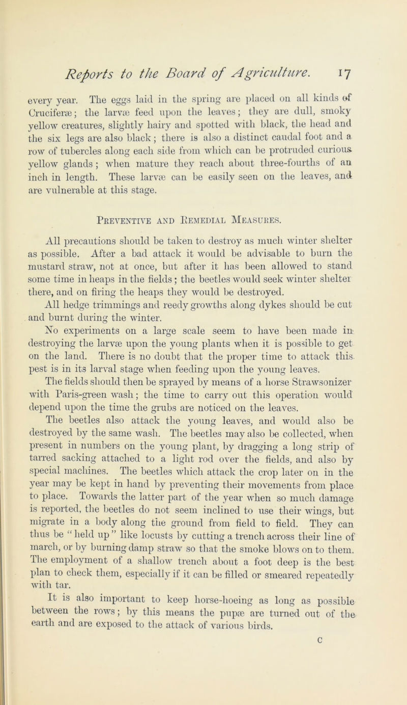 every year. The eggs laid in the spring are placed on all kinds of Cruciferae; the larvae feed upon the leaves; they are dull, smoky yellow creatures, slightly hairy and spotted with black, the head and the six legs are also black; there is also a distinct caudal foot and a row of tubercles along each side from which can be protruded curious, yellow glands ; when mature they reach about three-fourths of an inch in length. These larvae can be easily seen on the leaves, and are vulnerable at this stage. Preventive and Remedial Measures. All precautions should be taken to destroy as much winter shelter as possible. After a bad attack it would be advisable to burn the mustard straw, not at once, but after it has been allowed to stand some time in heaps in the fields ; the beetles would seek winter shelter there, and on firing the heaps they would be destroyed. All hedge trimmings and reedy growths along dykes should be cut and burnt during the winter. No experiments on a large scale seem to have been made in destroying the larvae upon the young plants when it is possible to get on the land. There is no doubt that the proper time to attack this pest is in its larval stage when feeding upon the young leaves. The fields should then be sprayed by means of a horse Strawsonizer with Paris-green wash; the time to carry out this operation would depend upon the time the grubs are noticed on the leaves. The beetles also attack the young leaves, and would also be destroyed by the same wash. The beetles may also be collected, when present in numbers on the young plant, by dragging a long strip of tarred sacking attached to a light rod over the fields, and also by special machines. The beetles which attack the crop later on in the year may be kept in hand by preventing their movements from place to place. Towards the latter part of the year when so much damage is reported, the beetles do not seem inclined to use their wings, but migrate in a body along the ground from field to field. They can thus be “held up” like locusts by cutting a trench across their line of march, or by burning damp straw so that the smoke blows on to them. The employment of a shallow trench about a foot deep is the best plan to check them, especially it it can be filled or smeared repeatedly with tar. It is also important to keep horse-hoeing as long as possible between the rows; by this means the pupae are turned out of the earth and are exposed to the attack of various birds. c