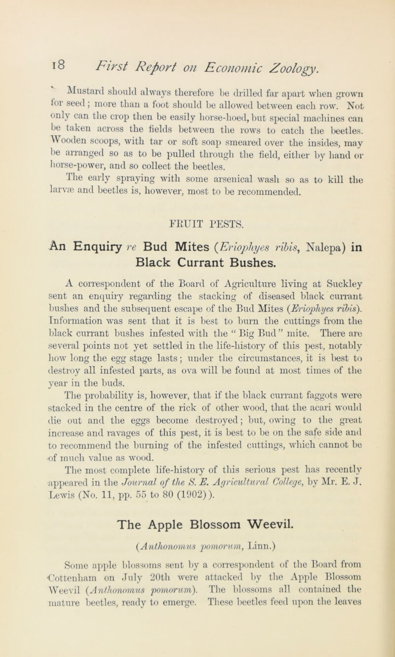 Mustard should always therefore be drilled far apart when grown ior seed; more than a foot should be allowed between each row. Not only can the crop then be easily borse-lioed, but special machines can be taken across the fields between the rows to catch the beetles. W ooden scoops, with tar or soft soap smeared over the insides, may be arranged so as to be pulled through the field, either by hand or horse-power, and so collect the beetles. the early spraying with some arsenical wash so as to kill the larvae and beetles is, however, most to be recommended. FEU1T TESTS. An Enquiry re Bud Mites (Eriophyes ribis, Nalepa) in Black Currant Bushes. A correspondent of the Board of Agriculture living at Suckley sent an enquiry regarding the stacking of diseased black currant bushes and the subsequent escape of the Bud Mites {Eriophyes ribis). Information was sent that it is best to burn the cuttings from the black currant bushes infested with the “ Big Bud ” mite. There are several points not yet settled in the life-history of this pest, notably how long the egg stage lasts; under the circumstances, it is best to destroy all infested parts, as ova will be found at most times of the year in the buds. The probability is, however, that if the black currant faggots were stacked in the centre of the rick of other wood, that the acari would die out and the eggs become destroyed; but, owing to the great increase and ravages of this pest, it is best to be on the safe side and to recommend the burning of the infested cuttings, which cannot be ■of much value as wood. The most complete life-history of this serious pest has recently appeared in the Journal of the S. E. Agricultural College, by Mr. E. J. Lewis (No. 11, pp. 55 to 80 (1902)). The Apple Blossom Weevil. {Anthonomus pomorum, Linn.) Some apple blossoms sent by a correspondent of the Board from Tottenham on July 20th were attacked by the Apple Blossom Weevil {Anthonomus pomorum). The blossoms all contained the mature beetles, ready to emerge. These beetles feed upon the leaves