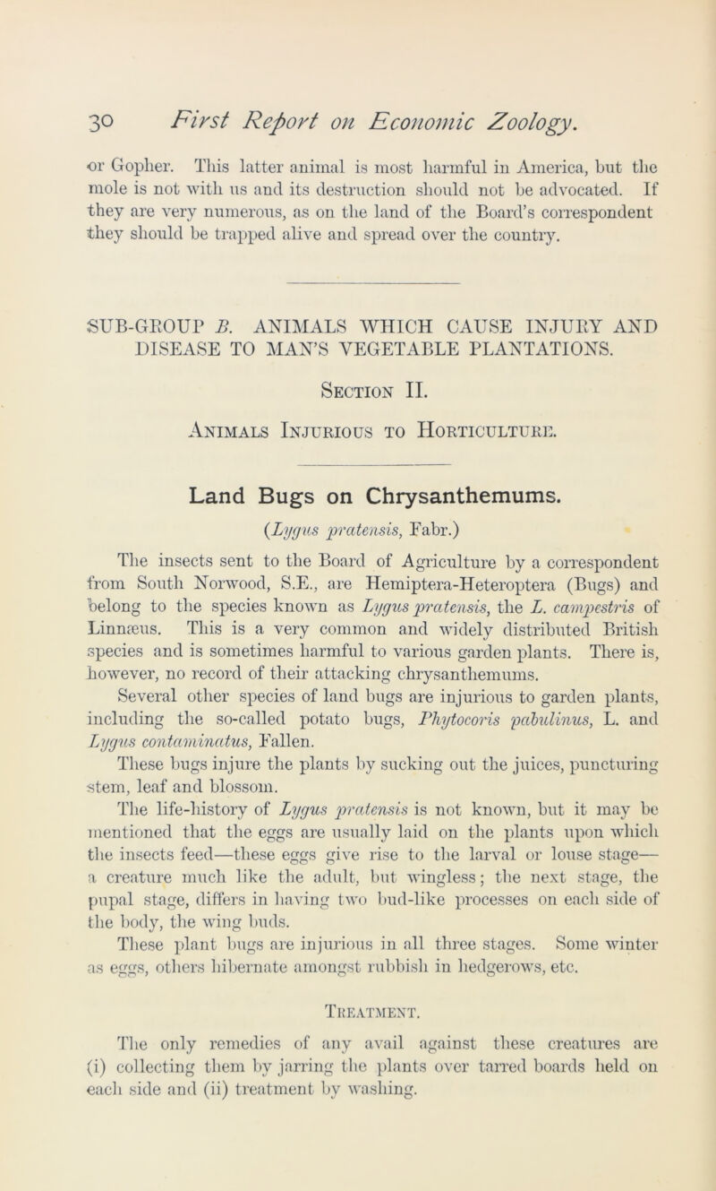 or Gopher. This latter animal is most harmful in America, but the mole is not with us and its destruction should not be advocated. If they are very numerous, as on the land of the Board’s correspondent they should be trapped alive and spread over the country. SUB-GROUP B. ANIMALS WHICH CAUSE INJURY AND DISEASE TO MAN’S VEGETABLE PLANTATIONS. Section II. Animals Injurious to Horticulture. Land Bugs on Chrysanthemums. (By (jus pratensis, Eabr.) The insects sent to the Board of Agriculture by a correspondent from South Norwood, S.E., are Hemiptera-Heteroptera (Bugs) and belong to the species known as Lygus pratensis, the L. campestris of Linnaeus. This is a very common and widely distributed British species and is sometimes harmful to various garden plants. There is, however, no record of their attacking chrysanthemums. Several other species of land bugs are injurious to garden plants, including the so-called potato bugs, Pliytocoris yabulinus, L. and Lygus contarninatus, Fallen. These bugs injure the plants by sucking out the juices, puncturing stem, leaf and blossom. The life-history of Lygus pratensis is not known, but it may be mentioned that the eggs are usually laid on the plants upon which the insects feed—these eggs give rise to the larval or louse stage— a creature much like the adult, but wingless; the next stage, the pupal stage, differs in having two bud-like processes on each side of the body, the wing buds. These plant bugs are injurious in all three stages. Some winter as eggs, others hibernate amongst rubbish in hedgerows, etc. Treatment. The only remedies of any avail against these creatures are (i) collecting them by jarring the plants over tarred boards held on each side and (ii) treatment by washing.
