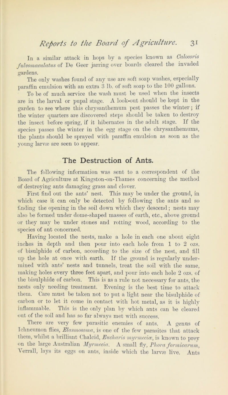 In a similar attack in hops by a species known as Cctlocoris fulvomaculatus of I)e Geer jarring over boards cleared the invaded gardens. The only washes found of any use are soft soap washes, especially paraffin emulsion with an extra 3 lb. of soft soap to the 100 gallons. To be of much service the wash must be used when the insects are in the larval or pupal stage. A look-out should be kept in the garden to see where this chrysanthemum pest passes the winter; if the winter quarters are discovered steps should be taken to destroy the insect before spring, if it hibernates in the adult stage. If the species passes the winter in the egg stage on the chrysanthemums, the plants should be sprayed with paraffin emulsion as soon as the young larvcC are seen to appear. The Destruction of Ants. The following information was sent to a correspondent of the Board of Agriculture at Ivingston-on-Thames concerning the method of destroying ants damaging grass and clover. First find out the ants’ nest. This may be under the ground, in which case it can only be detected by following the ants and so finding the opening in the soil down which they descend; nests may also be formed under dome-shaped masses of earth, etc., above ground or they may be under stones and rotting wood, according to the species of ant concerned. Having located the nests, make a hole in each one about eight inches in depth and then pour into each hole from 1 to 2 ozs. of bisulphide of carbon, according to the size of the nest, and fill up the hole at once with earth. If the ground is regularly under- mined with ants’ nests and tunnels, treat the soil with the same, making holes every three feet apart, and pour into each hole 2 ozs. of the bisulphide of carbon. This is as a rule not necessary for ants, the nests only needing treatment. Evening is the best time to attack them. Care must be taken not to put a light near the bisulphide of carbon or to let it come in contact with hot metal, as it is highly inflammable. This is the only plan by which ants can be cleared out of the soil and has so far always met with success. There are very few parasitic enemies of ants. A genus of Ichneumon flies, Elasmosoma, is one of the few parasites that attack them, whilst a brilliant Chalcid, Euclmris myrmecice, is known to prey on the large Australian Myrmccia, A small fly, Phora formicarum, Verrall, lays its eggs on ants, inside which the larvm live. Ants