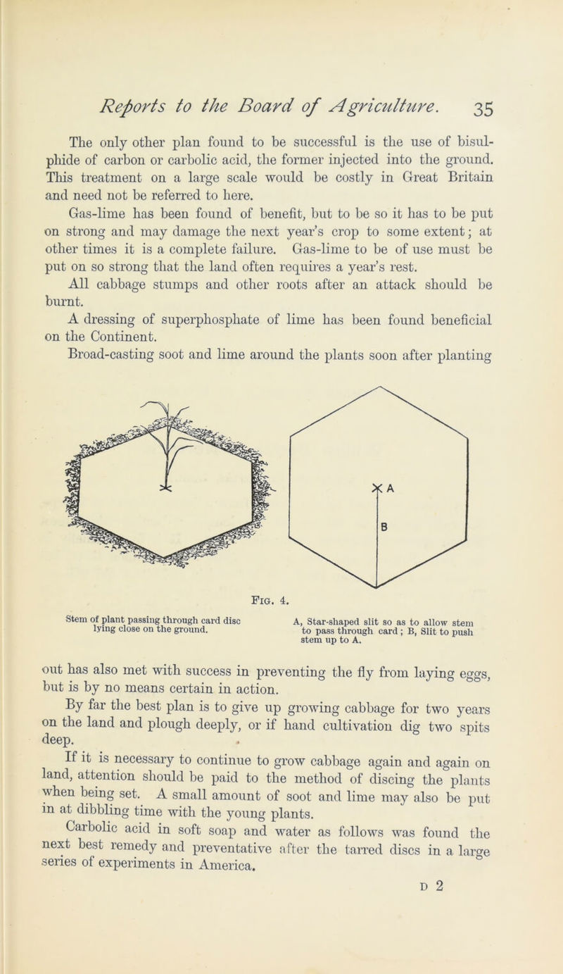 The only other plan found to be successful is the use of bisul- phide of carbon or carbolic acid, the former injected into the ground. This treatment on a large scale would be costly in Great Britain and need not be referred to here. Gas-lime has been found of benefit, but to be so it has to be put on strong and may damage the next year’s crop to some extent; at other times it is a complete failure. Gas-lime to be of use must be put on so strong that the land often requires a year’s rest. All cabbage stumps and other roots after an attack should be burnt. A dressing of superphosphate of lime has been found beneficial on the Continent. Broad-casting soot and lime around the plants soon after planting Fig. Stem of plant passing through card disc lying close on the ground. A, Star-shaped slit so as to allow stem to pass through card ; B, Slit to push stem up to A. out has also met with success in preventing the fly from laying eggs, but is by no means certain in action. By far the best plan is to give up growing cabbage for two years on the land and plough deeply, or if hand cultivation dig two spits deep. If it is necessary to continue to grow cabbage again and again on land, attention should be paid to the method of discing the plants when being set. A small amount of soot and lime may also be put in at dibbling time with the young plants. Carbolic acid in soft soap and water as follows was found the next best remedy and preventative after the tarred discs in a large series of experiments in America. D 2