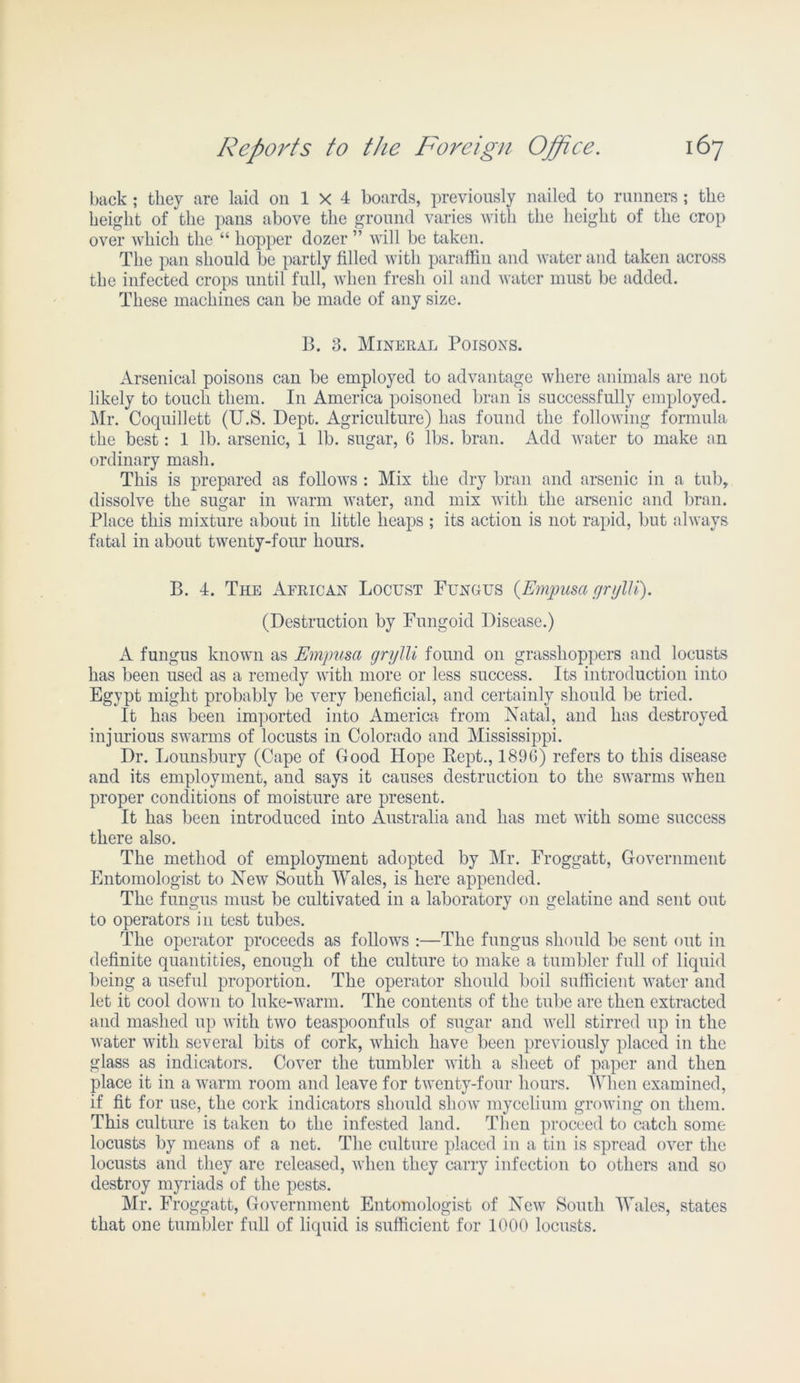 back; they are laid on 1 X 4 boards, previously nailed to runners; the height of the pans above the ground varies with the height of the crop over which the “ hopper dozer ” will be taken. The pan should be partly filled with paraffin and water and taken across the infected crops until full, when fresh oil and water must be added. These machines can be made of any size. B. 3. Mineral Poisons. Arsenical poisons can be employed to advantage where animals are not likely to touch them. I11 America poisoned bran is successfully employed. Mr. Coquillett (U.S. Dept. Agriculture) has found the following formula the best: 1 lb. arsenic, 1 lb. sugar, G lbs. bran. Add water to make an ordinary mash. This is prepared as follows : Mix the dry bran and arsenic in a tub, dissolve the sugar in warm water, and mix with the arsenic and bran. Place this mixture about in little heaps ; its action is not rapid, but always fatal in about twenty-four hours. B. 4. The African Locust Fungus (Empusa grylli). (Destruction by Fungoid Disease.) A fungus known as Empusa grylli found on grasshoppers and locusts has been used as a remedy with more or less success. Its introduction into Egypt might probably be very beneficial, and certainly should be tried. It has been imported into America from Natal, and has destroyed injurious swarms of locusts in Colorado and Mississippi. Dr. Lounsbury (Cape of Good Hope Kept., 189G) refers to this disease and its employment, and says it causes destruction to the swarms when proper conditions of moisture are present. It has been introduced into Australia and has met with some success there also. The method of employment adopted by Mr. Froggatt, Government Entomologist to New South Wales, is here appended. The fungus must be cultivated in a laboratory on gelatine and sent out to operators in test tubes. The operator proceeds as follows :—The fungus should be sent out in definite quantities, enough of the culture to make a tumbler full of liquid being a useful proportion. The operator should boil sufficient water and let it cool down to luke-warm. The contents of the tube are then extracted and mashed up with two teaspoonfuls of sugar and well stirred up in the water with several bits of cork, which have been previously placed in the glass as indicators. Cover the tumbler with a sheet of paper and then place it in a warm room and leave for twenty-four hours. When examined, if fit for use, the cork indicators should show mycelium growing on them. This culture is taken to the infested land. Then proceed to catch some locusts by means of a net. The culture placed in a tin is spread over the locusts and they are released, when they carry infection to others and so destroy myriads of the pests. Mr. Froggatt, Government Entomologist of New South Wales, states that one tumbler full of liquid is sufficient for 1000 locusts.