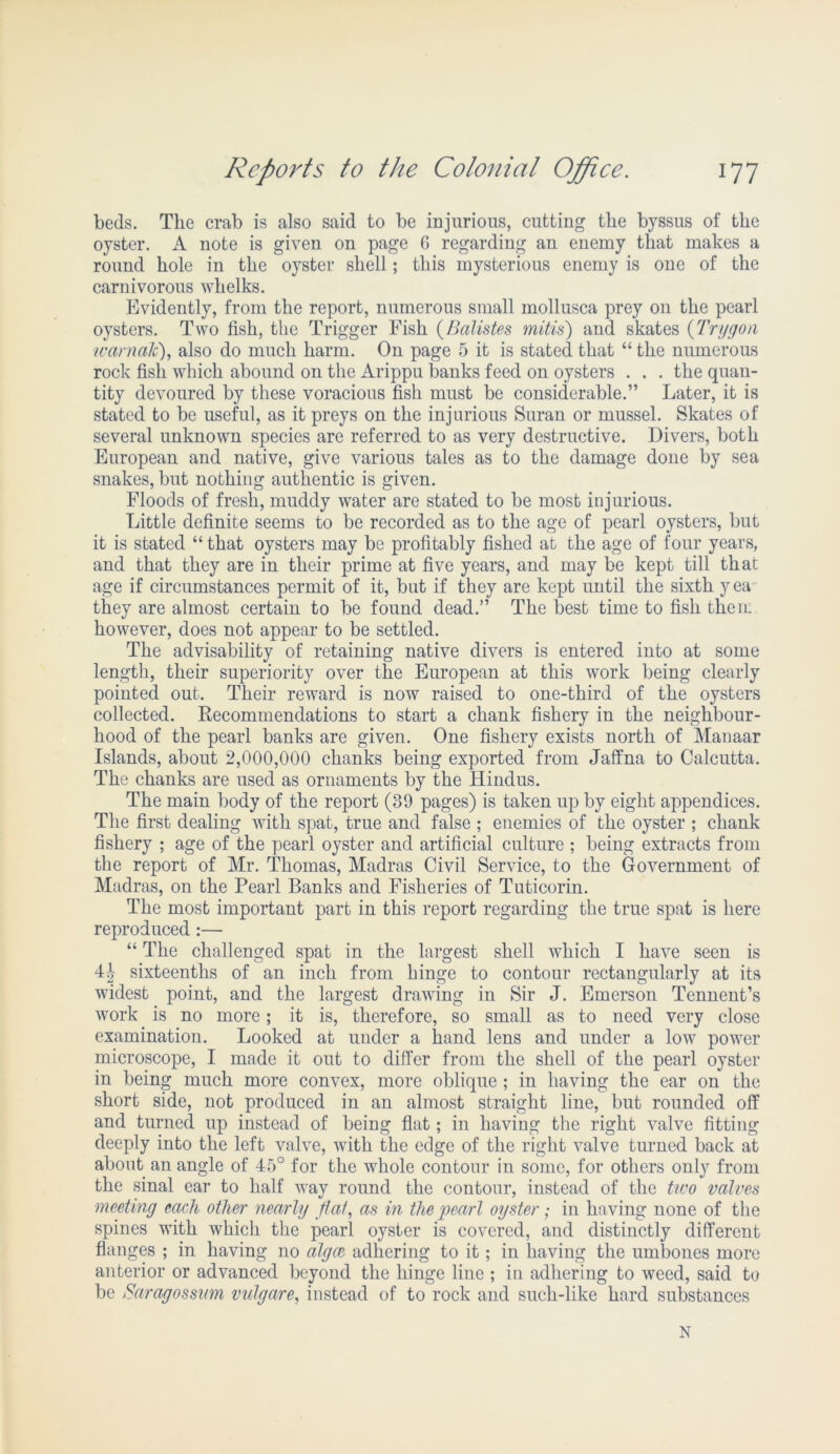 beds. The crab is also said to be injurious, cutting the byssus of the oyster. A note is given on page 6 regarding an enemy that makes a round hole in the oyster shell; this mysterious enemy is one of the carnivorous whelks. Evidently, from the report, numerous small mollusca prey on the pearl oysters. Two fish, the Trigger Fish (Batistes mitis) and skates (Trygon warnalc), also do much harm. On page 5 it is stated that “ the numerous rock fish which abound on the Arippu banks feed on oysters . . . the quan- tity devoured by these voracious fish must be considerable.” Later, it is stated to be useful, as it preys on the injurious Suran or mussel. Skates of several unknown species are referred to as very destructive. Divers, both European and native, give various tales as to the damage done by sea snakes, but nothing authentic is given. Floods of fresh, muddy water are stated to be most injurious. Little definite seems to be recorded as to the age of pearl oysters, but it is stated “ that oysters may be profitably fished at the age of four years, and that they are in their prime at five years, and may be kept till that age if circumstances permit of it, but if they are kept until the sixth y ea they are almost certain to be found dead.” The best time to fish then: however, does not appear to be settled. The advisability of retaining native divers is entered into at some length, their superiority over the European at this work being clearly pointed out. Their reward is now raised to one-third of the oysters collected. Recommendations to start a chank fishery in the neighbour- hood of the pearl banks are given. One fishery exists north of Manaar Islands, about 2,000,000 chanks being exported from Jaffna to Calcutta. The chanks are used as ornaments by the Hindus. The main body of the report (39 pages) is taken up by eight appendices. The first dealing with spat, true and false ; enemies of the oyster ; chank fishery ; age of the pearl oyster and artificial culture ; being extracts from the report of Mr. Thomas, Madras Civil Service, to the Government of Madras, on the Pearl Banks and Fisheries of Tuticorin. The most important part in this report regarding the true spat is here reproduced :— “ The challenged spat in the largest shell which I have seen is 4| sixteenths of an inch from hinge to contour rectangularly at its widest point, and the largest drawing in Sir J. Emerson Tennent’s work is no more; it is, therefore, so small as to need very close examination. Looked at under a hand lens and under a low power microscope, I made it out to differ from the shell of the pearl oyster in being much more convex, more oblique ; in having the ear on the short side, not produced in an almost straight line, but rounded off and turned up instead of being flat; in having the right valve fitting deeply into the left valve, with the edge of the right valve turned back at about an angle of 45° for the whole contour in some, for others only from the sinal ear to half way round the contour, instead of the two valves meeting each other nearly ffaf, as in the pearl oyster; in having none of the spines with which the pearl oyster is covered, and distinctly different flanges ; in having no algce adhering to it; in having the umbones more anterior or advanced beyond the hinge line ; in adhering to weed, said to be Saragossum vulgare, instead of to rock and such-like hard substances N