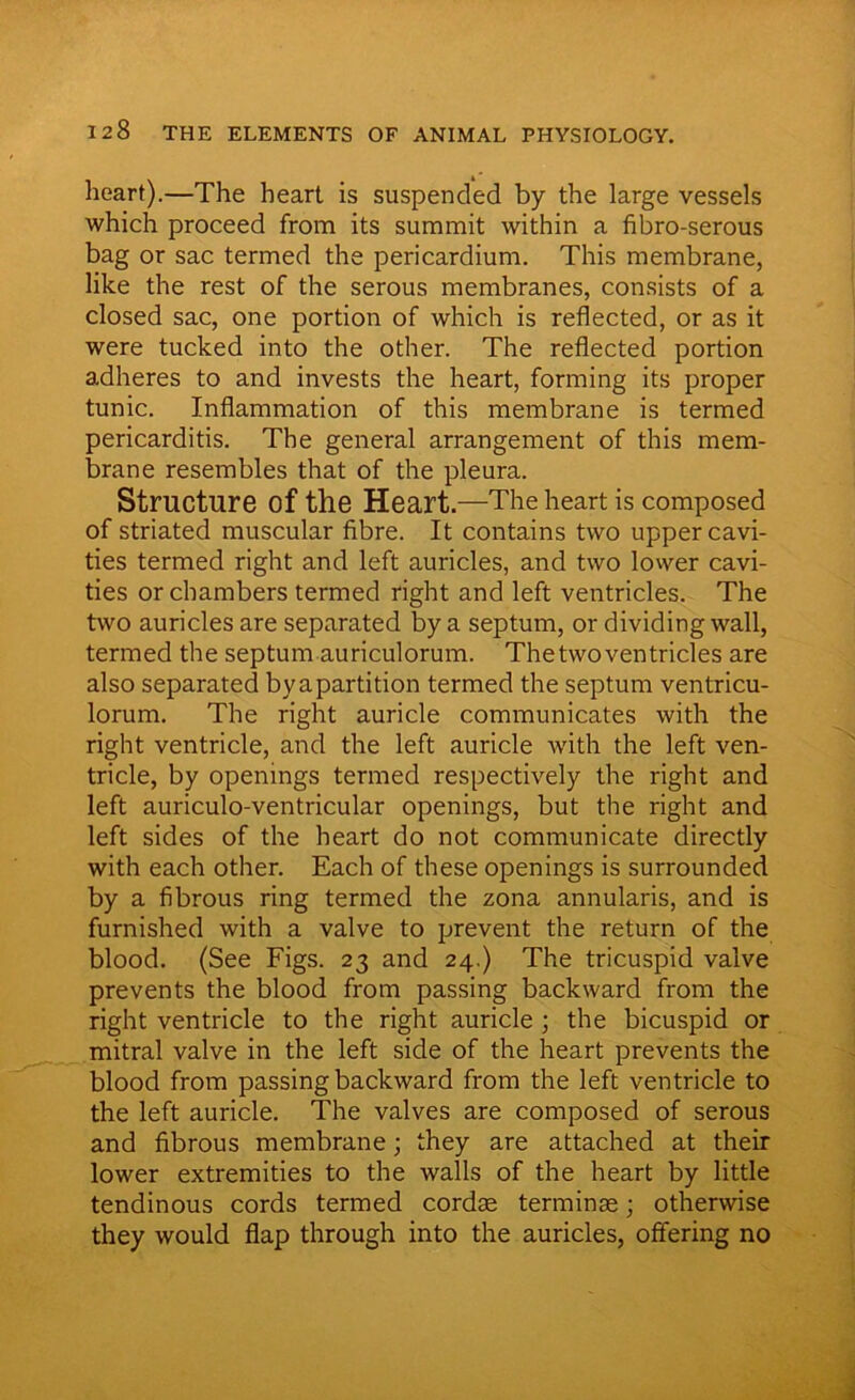 heart).—The heart is suspended by the large vessels which proceed from its summit within a fibro-serous bag or sac termed the pericardium. This membrane, like the rest of the serous membranes, consists of a closed sac, one portion of which is reflected, or as it were tucked into the other. The reflected portion adheres to and invests the heart, forming its proper tunic. Inflammation of this membrane is termed pericarditis. The general arrangement of this mem- brane resembles that of the pleura. Structure of the Heart.—The heart is composed of striated muscular fibre. It contains two upper cavi- ties termed right and left auricles, and two lower cavi- ties or chambers termed right and left ventricles. The two auricles are separated by a septum, or dividing wall, termed the septum auriculorum. Thetwoventricles are also separated by a partition termed the septum ventricu- lorum. The right auricle communicates with the right ventricle, and the left auricle with the left ven- tricle, by openings termed respectively the right and left auriculo-ventricular openings, but the right and left sides of the heart do not communicate directly with each other. Each of these openings is surrounded by a fibrous ring termed the zona annularis, and is furnished with a valve to prevent the return of the blood. (See Figs. 23 and 24.) The tricuspid valve prevents the blood from passing backward from the right ventricle to the right auricle ; the bicuspid or mitral valve in the left side of the heart prevents the blood from passing backward from the left ventricle to the left auricle. The valves are composed of serous and fibrous membrane; they are attached at their lower extremities to the walls of the heart by little tendinous cords termed cordas terminae; otherwise they would flap through into the auricles, offering no