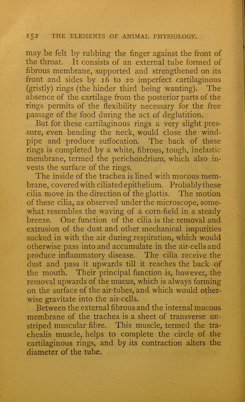 may be felt by rubbing the finger against the front of the throat. It consists of an external tube formed of fibrous membrane, supported and strengthened on its front and sides by 16 to 20 imperfect cartilaginous (gristly) rings (the hinder third being wanting). The absence of the cartilage from the posterior parts of the rings permits of the flexibility necessary for the free passage of the food during the act of deglutition. But for these cartilaginous rings a very slight pres- sure, even bending the neck, would close the wind- pipe and produce suffocation. The back of these rings is completed by a white, fibrous, tough, inelastic membrane, termed the perichondrium, which also in- vests the surface of the rings. The inside of the trachea is lined with mucous mem- brane, covered with ciliated epithelium. Probablythese cilia move in the direction of the glottis. The motion of these cilia, as observed under the microscope, some- what resembles the waving of a corn-field in a steady breeze. One function of the cilia is the removal and extrusion of the dust and other mechanical impurities sucked in with the air during respiration, which would otherwise pass into and accumulate in the air-cells and produce inflammatory disease. The cilia receive the dust and pass it upwards till it reaches the back of the mouth. Their principal function is, however, the removal upwards of the mucus, which is always forming on the surface of the air-tubes, and which would other- wise gravitate into the air-cells. Between the external fibrous and the internal mucous membrane of the trachea is a sheet of transverse un- striped muscular fibre. This muscle, termed the tra- chealis muscle, helps to complete the circle of the cartilaginous rings, and by its contraction alters the diameter of the tube.