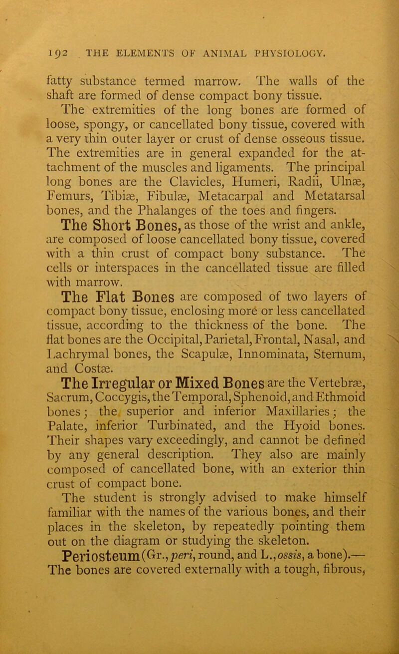 fatty substance termed marrow. The walls of the shaft are formed of dense compact bony tissue. The extremities of the long bones are formed of loose, spongy, or cancellated bony tissue, covered with a very thin outer layer or crust of dense osseous tissue. The extremities are in general expanded for the at- tachment of the muscles and ligaments. The principal long bones are the Clavicles, Humeri, Radii, Ulnae, Femurs, Tibiae, Fibulae, Metacarpal and Metatarsal bones, and the Phalanges of the toes and fingers. The Short Bones, as those of the wrist and ankle, are composed of loose cancellated bony tissue, covered with a thin crust of compact bony substance. The cells or interspaces in the cancellated tissue are filled with marrow. The Flat Bones are composed of two layers of compact bony tissue, enclosing more or less cancellated tissue, according to the thickness of the bone. The Hat bones are the Occipital, Parietal, Frontal, Nasal, and 1 .achrymal bones, the Scapulae, Innominata, Sternum, and Costas. The Irregular or Mixed Bones are the Vertebras, Sacrum, Coccygis, the Temporal, Sphenoid, and Ethmoid bones; the superior and inferior Maxillaries; the Palate, inferior Turbinated, and the Hyoid bones. Their shapes vary exceedingly, and cannot be defined by any general description. They also are mainly composed of cancellated bone, with an exterior thin crust of compact bone. The student is strongly advised to make himself familiar with the names of the various bones, and their places in the skeleton, by repeatedly pointing them out on the diagram or studying the skeleton. Periosteum (Cl’., pen, round, and L., ossis, a bone).— The bones are covered externally with a tough, fibrous,