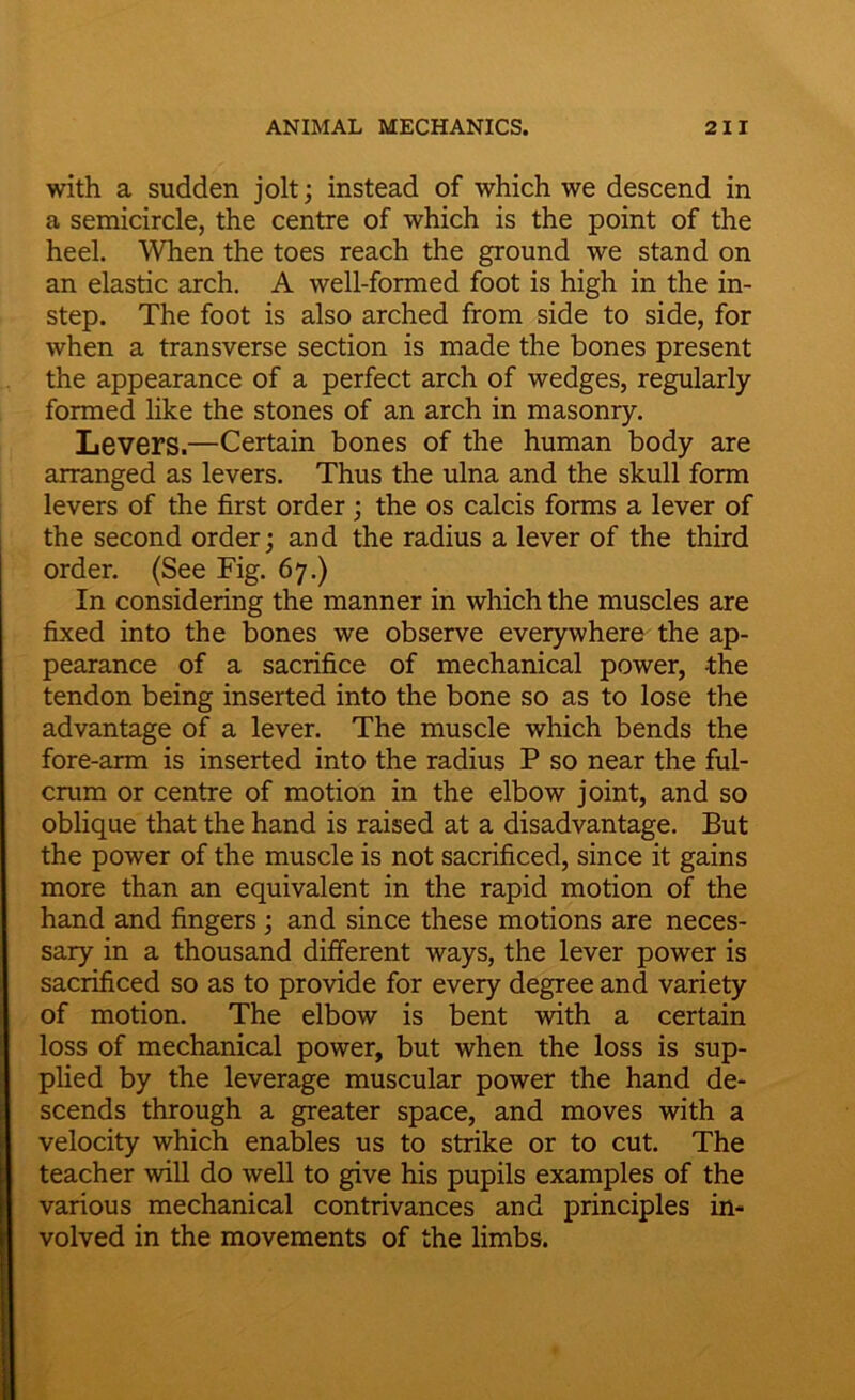 with a sudden jolt; instead of which we descend in a semicircle, the centre of which is the point of the heel. When the toes reach the ground we stand on an elastic arch. A well-formed foot is high in the in- step. The foot is also arched from side to side, for when a transverse section is made the bones present the appearance of a perfect arch of wedges, regularly- formed like the stones of an arch in masonry. Levers.—Certain bones of the human body are arranged as levers. Thus the ulna and the skull form levers of the first order; the os calcis forms a lever of the second order; and the radius a lever of the third order. (See Fig. 67.) In considering the manner in which the muscles are fixed into the bones we observe everywhere the ap- pearance of a sacrifice of mechanical power, the tendon being inserted into the bone so as to lose the advantage of a lever. The muscle which bends the fore-arm is inserted into the radius P so near the ful- crum or centre of motion in the elbow joint, and so oblique that the hand is raised at a disadvantage. But the power of the muscle is not sacrificed, since it gains more than an equivalent in the rapid motion of the hand and fingers ; and since these motions are neces- sary in a thousand different ways, the lever power is sacrificed so as to provide for every degree and variety of motion. The elbow is bent with a certain loss of mechanical power, but when the loss is sup- plied by the leverage muscular power the hand de- scends through a greater space, and moves with a velocity which enables us to strike or to cut. The teacher will do well to give his pupils examples of the various mechanical contrivances and principles in- volved in the movements of the limbs.