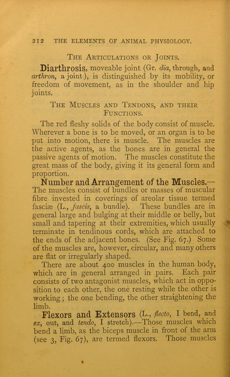 The Articulations or Joints. Diarthrosis, moveable joint (Gr. dia, through, and arthron, a joint), is distinguished by its mobility, or freedom of movement, as in the shoulder and hip joints. The Muscles and Tendons, and their Functions. The red fleshy solids of the body consist of muscle. Wherever a bone is to be moved, or an organ is to be put into motion, there is muscle. The muscles are the active agents, as the bones are in general the passive agents of motion. The muscles constitute the great mass of the body, giving it its general form and proportion. Number and Arrangement of the Muscles — The muscles consist of bundles or masses of muscular fibre invested in coverings of areolar tissue termed fascise (L., fascis, a bundle). These bundles are in general large and bulging at their middle or belly, but small and tapering at their extremities, which usually terminate in tendinous cords, which are attached to the ends of the adjacent bones. (See Fig. 67.) Some of the muscles are, however, circular, and many others are flat or irregularly shaped. There are about 400 muscles in the human body, which are in general arranged in pairs. Each pair consists of two antagonist muscles, which act in oppo- sition to each other, the one resting while the other is working; the one bending, the other straightening the limb. Flexors and Extensors (L., flecto, I bend, and ex, out, and tendo, I stretch).—Those muscles which bend a limb, as the biceps muscle in front of the arm (see 3, Fig. 67), are termed flexors. Those muscles