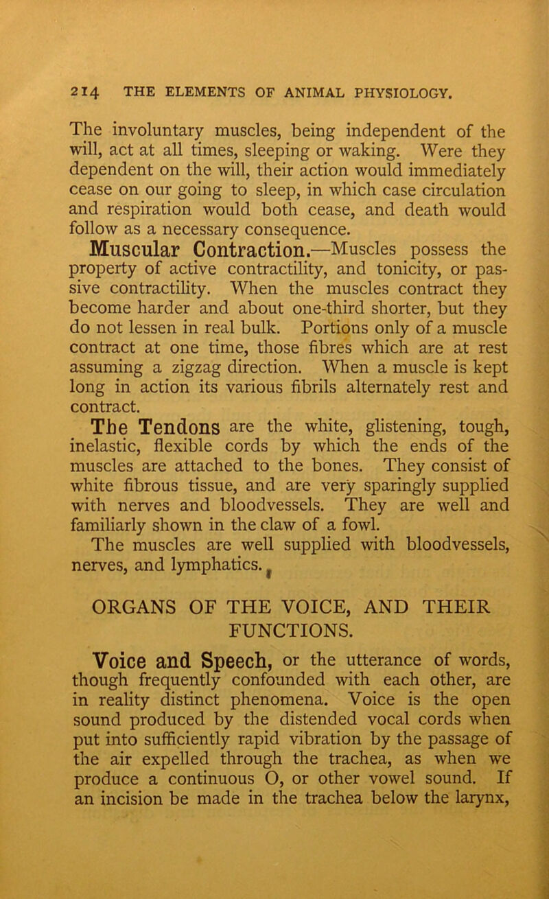 The involuntary muscles, being independent of the will, act at all times, sleeping or waking. Were they dependent on the will, their action would immediately cease on our going to sleep, in which case circulation and respiration would both cease, and death would follow as a necessary consequence. Muscular Contraction.—Muscles possess the property of active contractility, and tonicity, or pas- sive contractility. When the muscles contract they become harder and about one-third shorter, but they do not lessen in real bulk. Portions only of a muscle contract at one time, those fibres which are at rest assuming a zigzag direction. When a muscle is kept long in action its various fibrils alternately rest and contract. The Tendons are the white, glistening, tough, inelastic, flexible cords by which the ends of the muscles are attached to the bones. They consist of white fibrous tissue, and are very sparingly supplied with nerves and bloodvessels. They are well and familiarly shown in the claw of a fowl. The muscles are well supplied with bloodvessels, nerves, and lymphatics.} ORGANS OF THE VOICE, AND THEIR FUNCTIONS. Voice and Speech, or the utterance of words, though frequently confounded with each other, are in reality distinct phenomena. Voice is the open sound produced by the distended vocal cords when put into sufficiently rapid vibration by the passage of the air expelled through the trachea, as when we produce a continuous O, or other vowel sound. If an incision be made in the trachea below the larynx.