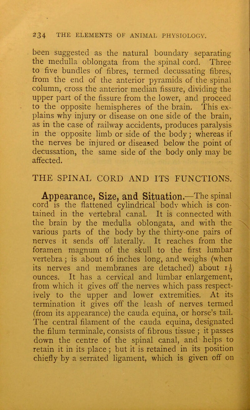 been suggested as the natural boundary separating the medulla oblongata from the spinal cord. Three to five bundles of fibres, termed decussating fibres, from the end of the anterior pyramids of the spinal column, cross the anterior median fissure, dividing the upper part of the fissure from the lower, and proceed to the opposite hemispheres of the brain. This ex- plains why injury or disease on one side of the brain, as in the case of railway accidents, produces paralysis in the opposite limb or side of the body; whereas if the nerves be injured or diseased below the point of decussation, the same side of the body only may be affected. THE SPINAL CORD AND ITS FUNCTIONS. Appearance, Size, and Situation—The spinal cord is the flattened cylindrical' body which is con- tained in the vertebral canal. It is connected with the brain by the medulla oblongata, and with the various parts of the body by the thirty-one pairs of nerves it sends off laterally. It reaches from the foramen magnum of the skull to the first lumbar vertebra; is about 16 inches long, and weighs (when its nerves and membranes are detached) about 15 ounces. It has a cervical and lumbar enlargement, from which it gives off the nerves which pass respect- ively to the upper and lower extremities. At its termination it gives off the leash of nerves termed (from its appearance) the cauda equina, or horse’s tail. The central filament of the cauda equina, designated the filum terminale, consists of fibrous tissue ; it passes down the centre of the spinal canal, and helps to retain it in its place; but it is retained in its position chiefly by a serrated ligament, which is given off on