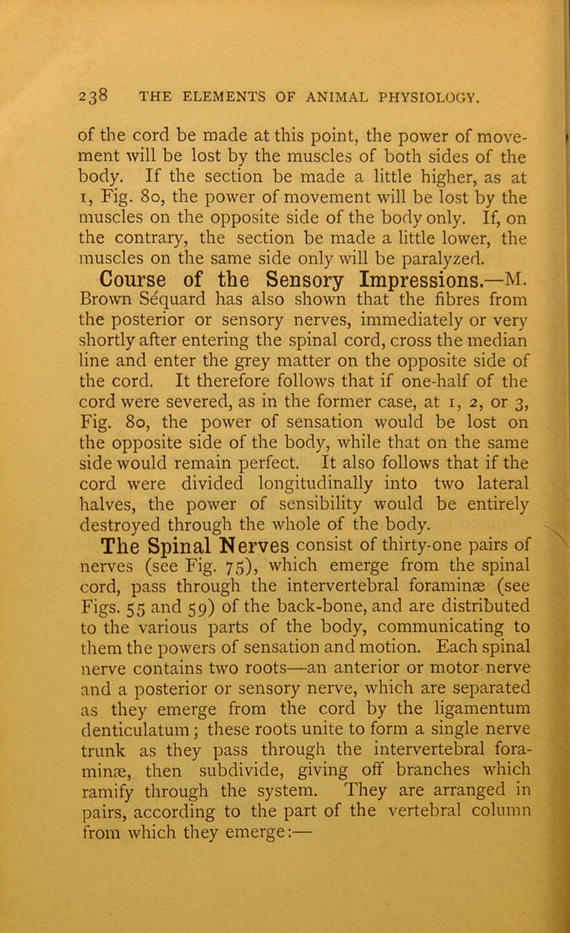 of the cord be made at this point, the power of move- ment will be lost by the muscles of both sides of the body. If the section be made a little higher, as at 1, Fig. 80, the power of movement will be lost by the muscles on the opposite side of the body only. If, on the contrary, the section be made a little lower, the muscles on the same side only will be paralyzed. Course of the Sensory Impressions—M. Brown Sequard has also shown that the fibres from the posterior or sensory nerves, immediately or very shortly after entering the spinal cord, cross the median line and enter the grey matter on the opposite side of the cord. It therefore follows that if one-half of the cord were severed, as in the former case, at 1, 2, or 3, Fig. 80, the power of sensation would be lost on the opposite side of the body, while that on the same side would remain perfect. It also follows that if the cord were divided longitudinally into two lateral halves, the power of sensibility would be entirely destroyed through the whole of the body. The Spinal Nerves consist of thirty-one pairs of nerves (see Fig. 75), which emerge from the spinal cord, pass through the intervertebral foraminae (see Figs. 55 and 59) of the back-bone, and are distributed to the various parts of the body, communicating to them the powers of sensation and motion. Each spinal nerve contains two roots—an anterior or motor nerve and a posterior or sensory nerve, which are separated as they emerge from the cord by the ligamentum denticulatum; these roots unite to form a single nerve trunk as they pass through the intervertebral fora- minas, then subdivide, giving off branches which ramify through the system. They are arranged in pairs, according to the part of the vertebral column from which they emerge:—