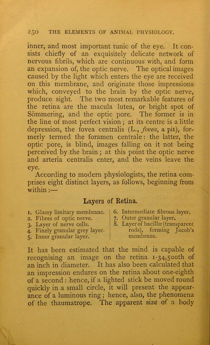 inner, and most important tunic of the eye. It con- sists chiefly of an exquisitely delicate network of nervous fibrils, which are continuous with, and form an expansion of, the optic nerve. The optical images caused by the light which enters the eye are received on this membrane, and originate those impressions which, conveyed to the brain by the optic nerve, produce sight. The two most remarkable features of the retina are the macula lutea, or bright spot of Sommering, and the optic pore. The former is in the line of most perfect vision • at its centre is a little depression, the fovea centralis (L., fovea, a pit), for- merly termed the foramen centrale: the latter, the optic pore, is blind, images falling on it not being perceived by the brain; at this point the optic nerve and arteria centralis enter, and the veins leave the eye. According to modern physiologists, the retina com- prises eight distinct layers, as follows, beginning from within:— Layers of Retina. 1. Glassy limitary membrane. 2. Fibres of optic nerve. 3. Layer of nerve cells. 4. Finely granular grey layer. 5. Inner granular layer. 6. Intermediate fibrous layer. 7. Outer granular layer. 8. Layer of bacillse (transparent rods), forming Jacob’s membrane. It has been estimated that the mind is capable of recognising an image on the retina 1-34,500th of an inch in diameter. It has also been calculated that an impression endures on the retina about one-eighth of a second : hence, if a lighted stick be moved round quickly in a small circle, it will present the appear- ance of a luminous ring; hence, also, the phenomena of the thaumatrope. The apparent size of a body
