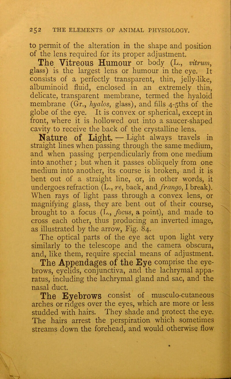 to permit of the alteration in the shape and position of the lens required for its proper adjustment. The Vitreous Humour or body (L., vitrum, glass) is the largest lens or humour in the eye. It consists of a perfectly transparent, thin, jelly-like, albuminoid fluid, enclosed in an extremely thin, delicate, transparent membrane, termed the hyaloid membrane (Gr., hyalos, glass), and fills 4-5ths of the globe of the eye. It is convex or spherical, except in front, where it is hollowed out into a saucer-shaped cavity to receive the back of the crystalline lens. Nature of Light. — Light always travels in straight lines when passing through the same medium, and when passing perpendicularly from one medium into another ; but when it passes obliquely from one medium into another, its course is broken, and it is bent out of a straight line, or, in other words, it undergoes refraction (L., re, backhand frango, I break). When rays of light pass through a convex lens, or magnifying glass, they are bent out of their course, brought to a focus (L., focus, a point), and made to cross each other, thus producing an inverted image, as illustrated by the arrow, Fig. 84. The optical parts of the eye act upon light very similarly to the telescope and the camera obscura, and, like them, require special means of adjustment. The Appendages of the Eye comprise the eye- brows, eyelids, conjunctiva, and the lachrymal appa- ratus, including the lachrymal gland and sac, and the nasal duct. The Eyebrows consist of musculo-cutaneous arches or ridges over the eyes, which are more or less studded with hairs. They shade and protect the eye. The hairs arrest the perspiration which sometimes streams down the forehead, and would otherwise flow