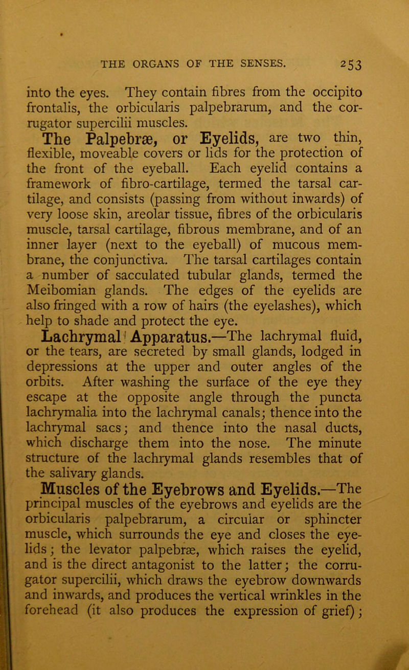 into the eyes. They contain fibres from the occipito frontalis, the orbicularis palpebrarum, and the cor- rugator supercilii muscles. The Palpebrae, or Eyelids, are two thin, flexible, moveable covers or lids for the protection of the front of the eyeball. Each eyelid contains a framework of fibro-cartilage, termed the tarsal car- tilage, and consists (passing from without inwards) of very loose skin, areolar tissue, fibres of the orbicularis muscle, tarsal cartilage, fibrous membrane, and of an inner layer (next to the eyeball) of mucous mem- brane, the conjunctiva. The tarsal cartilages contain a number of sacculated tubular glands, termed the Meibomian glands. The edges of the eyelids are also fringed with a row of hairs (the eyelashes), which help to shade and protect the eye. Lachrymal' Apparatus—The lachrymal fluid, or the tears, are secreted by small glands, lodged in depressions at the upper and outer angles of the orbits. After washing the surface of the eye they escape at the opposite angle through the puncta lachrymalia into the lachrymal canals; thence into the lachrymal sacs; and thence into the nasal ducts, which discharge them into the nose. The minute structure of the lachrymal glands resembles that of the salivary glands. Muscles of the Eyebrows and Eyelids—The principal muscles of the eyebrows and eyelids are the orbicularis palpebrarum, a circular or sphincter muscle, which surrounds the eye and closes the eye- lids ; the levator palpebrse, which raises the eyelid, and is the direct antagonist to the latter; the corru- gator supercilii, which draws the eyebrow downwards and inwards, and produces the vertical wrinkles in the forehead (it also produces the expression of grief);