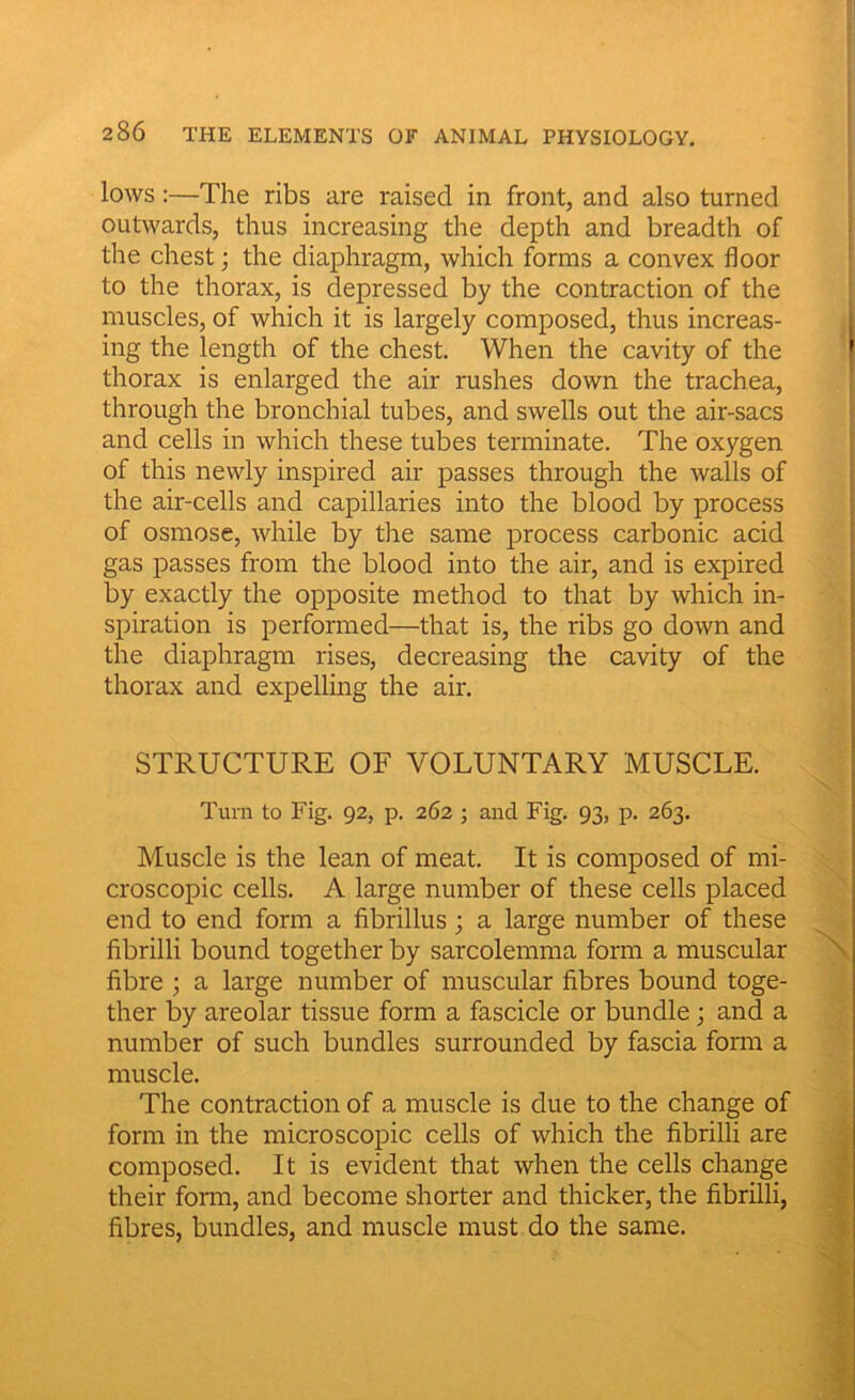 lows:—The ribs are raised in front, and also turned outwards, thus increasing the depth and breadth of the chest; the diaphragm, which forms a convex floor to the thorax, is depressed by the contraction of the muscles, of which it is largely composed, thus increas- ing the length of the chest. When the cavity of the thorax is enlarged the air rushes down the trachea, through the bronchial tubes, and swells out the air-sacs and cells in which these tubes terminate. The oxygen of this newly inspired air passes through the walls of the air-cells and capillaries into the blood by process of osmose, while by the same process carbonic acid gas passes from the blood into the air, and is expired by exactly the opposite method to that by which in- spiration is performed—that is, the ribs go down and the diaphragm rises, decreasing the cavity of the thorax and expelling the air. STRUCTURE OF VOLUNTARY MUSCLE. Turn to Fig. 92, p. 262 ; and Fig. 93, p. 263. Muscle is the lean of meat. It is composed of mi- croscopic cells. A large number of these cells placed end to end form a fibrillus ; a large number of these fibrilli bound together by sarcolemma form a muscular fibre ; a large number of muscular fibres bound toge- ther by areolar tissue form a fascicle or bundle; and a number of such bundles surrounded by fascia form a muscle. The contraction of a muscle is due to the change of form in the microscopic cells of which the fibrilli are composed. It is evident that when the cells change their form, and become shorter and thicker, the fibrilli, fibres, bundles, and muscle must do the same.