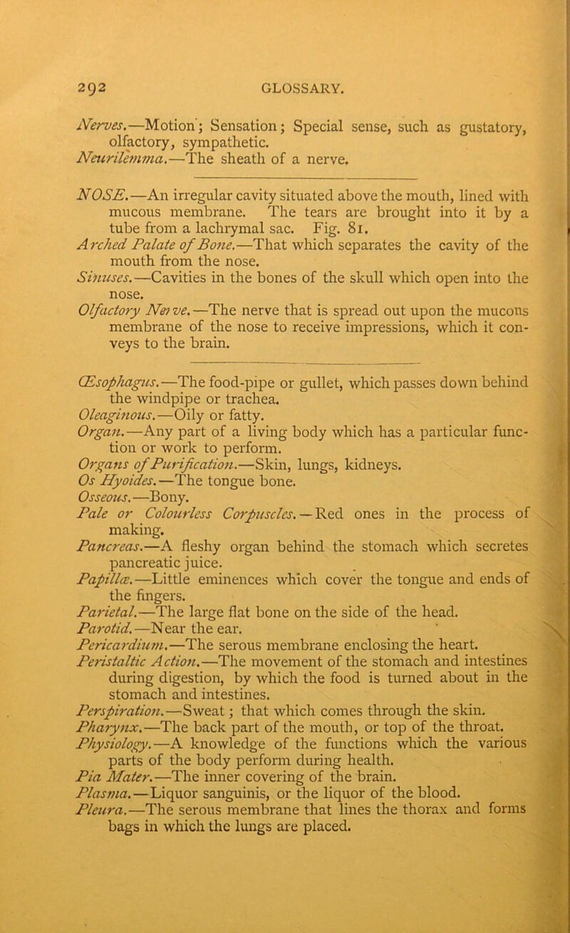 Nerves.—Motion; Sensation; Special sense, such as gustatory, olfactory, sympathetic. Neurilemma.—The sheath of a nerve. NOSE.—An irregular cavity situated above the mouth, lined with mucous membrane. The tears are brought into it by a tube from a lachrymal sac. Fig. 81. Arched Palate of Bone.—That which separates the cavity of the mouth from the nose. Sinuses.—Cavities in the bones of the skull which open into the nose. Olfactory Net ve. —The nerve that is spread out upon the mucous membrane of the nose to receive impressions, which it con- veys to the brain. (Esophagus.—The food-pipe or gullet, which passes down behind the windpipe or trachea. Oleaginous.—Oily or fatty. Organ.—Any part of a living body which has a particular func- tion or work to perform. Organs of Purification.—Skin, lungs, kidneys. Os Hyoides.—The tongue bone. Osseous. —Bony. Pale or Colourless Corpuscles. — Red ones in the process of making. Pancreas.—A fleshy organ behind the stomach which secretes pancreatic juice. Papillce.—Little eminences which cover the tongue and ends of the fingers. Parietal.—The large flat bone on the side of the head. Parotid.—Near the ear. Pericardium.—The serous membrane enclosing the heart. Peristaltic Action.—The movement of the stomach and intestines during digestion, by which the food is turned about in the stomach and intestines. Perspiration.—Sweat; that which comes through the skin. Pharynx.—The back part of the mouth, or top of the throat. Physiology.—A knowledge of the functions which the various parts of the body perform during health. Pia Mater.—The inner covering of the brain. Plasma. —Liquor sanguinis, or the liquor of the blood. Pleura.—The serous membrane that lines the thorax and forms bags in which the lungs are placed.