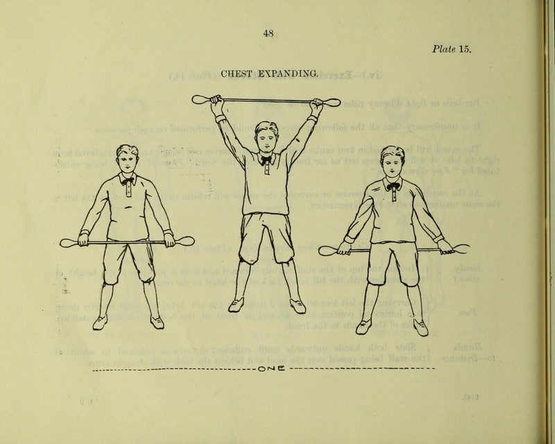 Plate 15, CHEST EXPANDING. i II,