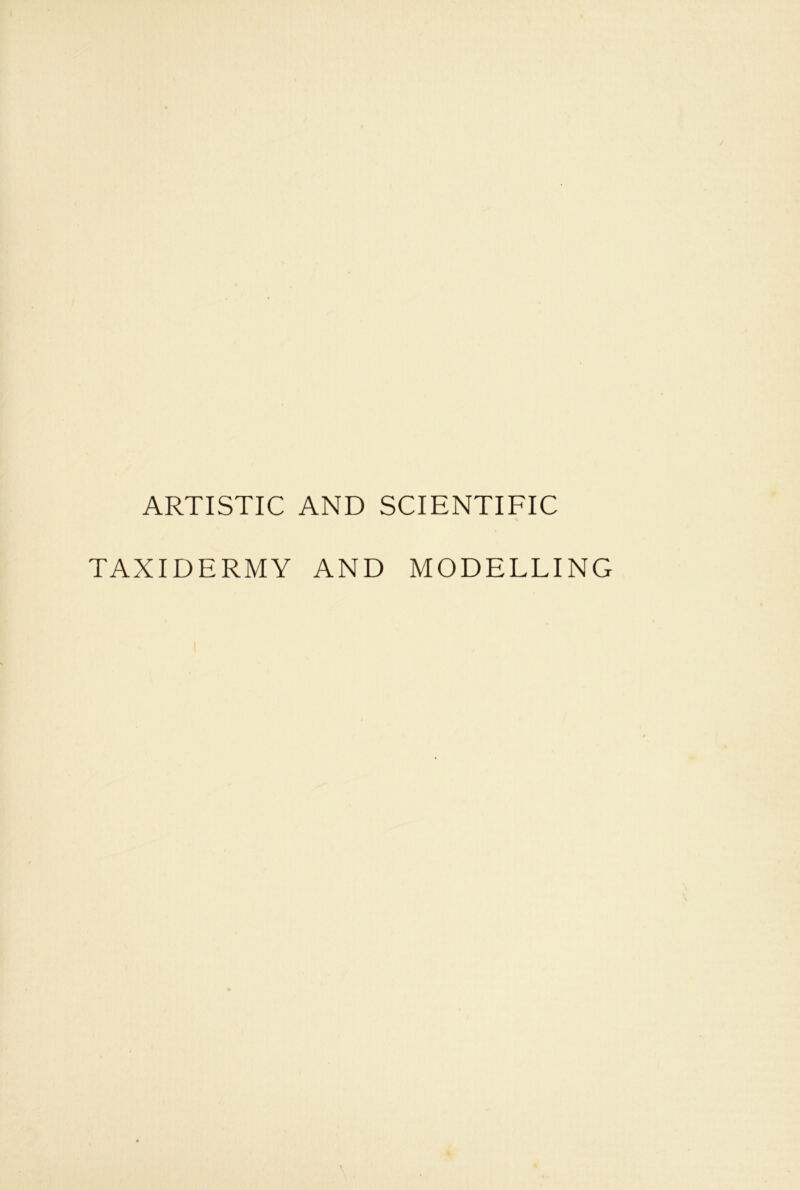 ARTISTIC AND SCIENTIFIC TAXIDERMY AND MODELLING