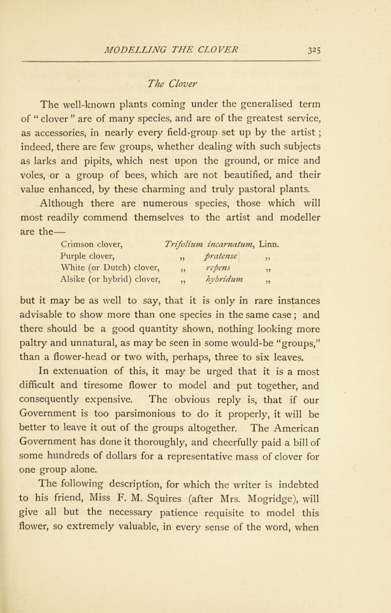 The Clover The well-known plants coming under the generalised term of “ clover ” are of many species, and are of the greatest service, as accessories, in nearly every field-group set up by the artist; indeed, there are few groups, whether dealing with such subjects as larks and pipits, which nest upon the ground, or mice and voles, or a group of bees, which are not beautified, and their value enhanced, by these charming and truly pastoral plants. Although there are numerous species, those which will most readily commend themselves to the artist and modeller are the— Crimson clover, Trifolium incarnatu7n^ Linn. Purple clover, „ prate7ise \ ,, White (or Dutch) clover, ,, repeTts ,, Alsike (or hybrid) clover, ,, hybridu7n „ but it may be as well to say, that it is only in rare instances advisable to show more than one species in the same case; and there should be a good quantity shown, nothing looking more paltry and unnatural, as may be seen in some would-be “groups,’’ than a flower-head or two with, perhaps, three to six leaves. In extenuation of this, it may be urged that it is a most difficult and tiresome flower to model and put together, and consequently expensive. The obvious reply is, that if our Government is too parsimonious to do it properly, it will be better to leave it out of the groups altogether. The American Government has done it thoroughly, and cheerfully paid a bill of some hundreds of dollars for a representative mass of clover for one group alone. The following description, for which the writer is indebted to his friend. Miss F. M. Squires (after Mrs. Mogridge), will give all but the necessary patience requisite to model this flower, so extremely valuable, in every sense of the word, when