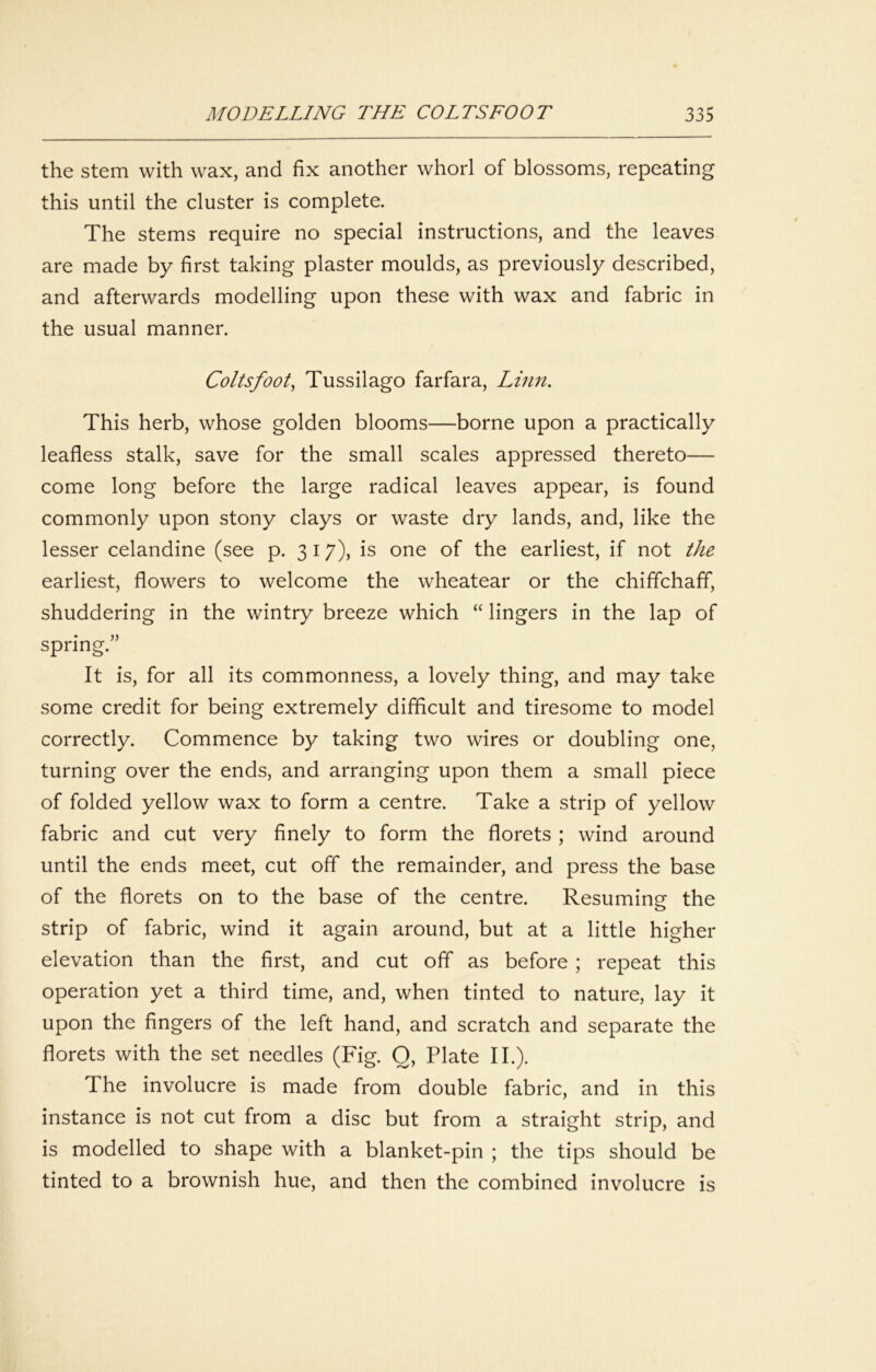 the stem with wax, and fix another whorl of blossoms, repeating this until the cluster is complete. The stems require no special instructions, and the leaves are made by first taking plaster moulds, as previously described, and afterwards modelling upon these with wax and fabric in the usual manner. Coltsfoot^ Tussilago farfara, Linn. This herb, whose golden blooms—borne upon a practically leafless stalk, save for the small scales appressed thereto— come long before the large radical leaves appear, is found commonly upon stony clays or waste dry lands, and, like the lesser celandine (see p. 3 17), is one of the earliest, if not the earliest, flowers to welcome the wheatear or the chiffchaff, shuddering in the wintry breeze which “ lingers in the lap of spring.” It is, for all its commonness, a lovely thing, and may take some credit for being extremely difficult and tiresome to model correctly. Commence by taking two wires or doubling one, turning over the ends, and arranging upon them a small piece of folded yellow wax to form a centre. Take a strip of yellow fabric and cut very finely to form the florets ; wind around until the ends meet, cut off the remainder, and press the base of the florets on to the base of the centre. Resuming the strip of fabric, wind it again around, but at a little higher elevation than the first, and cut off as before ; repeat this operation yet a third time, and, when tinted to nature, lay it upon the fingers of the left hand, and scratch and separate the florets with the set needles (Fig. Q, Plate II.). The involucre is made from double fabric, and in this instance is not cut from a disc but from a straight strip, and is modelled to shape with a blanket-pin ; the tips should be tinted to a brownish hue, and then the combined involucre is