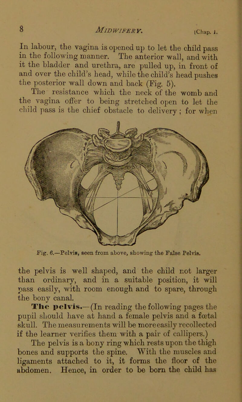 iChap. 1, In labour, the vagina is opened up to let the child pass in the following manner. The anterior wall, and with it the bladder and urethra, are pulled up, in front of and over the child’s head, while the child’s head pushes the posterior wall down and back (Fig. 5). The resistance which the neck of the womb and the vagina offer to being stretched 02:>en to let the child pass is the chief obstacle to delivery; for when Fig. 6.—Pelvis, seen from above, showing the False Pelvis. the pelvis is well shaped, and the child not larger than ordinary, and in a suitable position, it will pass easily, with room enough and to spare, through the bony canal. The pelvis.—(In reading the following pages the pupil should have at hand a female pelvis and a foetal skull. The measurements will be moreeasily recollected if the learner verifies them with a pair of callipere.) The pelvis is a bony ring which rests upon the thigh bones and supports the spine. With the muscles and ligaments attached to it, it forms the floor of the abdomen. Hence, in order to be born the child has