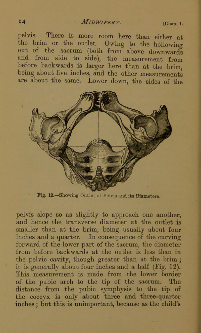 pelvis. There is more room here than either at the brim or the outlet. Owing to the hollowing out of the sacrum ^oth from above downwards and from side to side), the measurement from before backwards is larger here than at the brim, being about five inches, and the other measurements are about the same. Lower down, the sides of the Fi|f. 12.—Showing Outlet of Pelvis and its Diameters. pelvis slope so as slightly to approach one another, and hence the transverse diameter at the outlet is smaller than at the brim, being usually about four inches and a quarter. In consequence of the curving forward of the lower part of the sacrum, the diameter from before backwards at the outlet is less tlian in the pelvic cavity, though greater than at the brim ; it is generally about four inches and a half (Fig. 12). This measurement is made from the lower border of the pubic arch to the tip of the sacrum. The distance from the pubic symphysis to the tip of the coccyx is only about three and three-quarter inches; but this is unimportant, because as the child’s