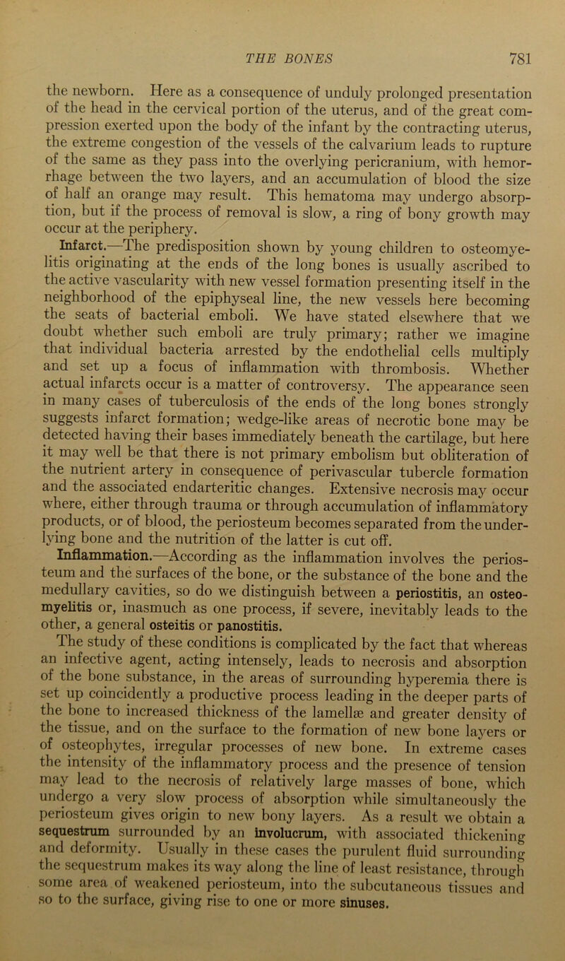the newborn. Here as a consequence of unduly prolonged presentation of the head in the cervical portion of the uterus, and of the great com- pression exerted upon the body of the infant by the contracting uterus, the extreme congestion of the vessels of the calvarium leads to rupture of the same as they pass into the overlying pericranium, with hemor- rhage between the two layers, and an accumulation of blood the size of half an orange may result. This hematoma may undergo absorp- tion, but if the process of removal is slow, a ring of bony growth may occur at the periphery. Lifarct. The predisposition shown by young children to osteomye- litis originating at the ends of the long bones is usually ascribed to the active vascularity with new vessel formation presenting itself in the neighborhood of the epiphyseal line, the new vessels here becoming the seats of bacterial emboli. We have stated elsewhere that we doubt whether such emboli are truly primary; rather we imagine that individual bacteria arrested by the endothelial cells multiply and set up a focus of inflammation with thrombosis. Whether actual infarcts occur is a matter of controversy. The appearance seen in many cases of tuberculosis of the ends of the long bones strongly suggests infarct formation; wedge-like areas of necrotic bone may be detected having their bases immediately beneath the cartilage, but here it may well be that there is not primary embolism but obliteration of the nutrient artery in consequence of perivascular tubercle formation and the associated endarteritic changes. Extensive necrosis may occur where, either through trauma or through accumulation of inflammatory products, or of blood, the periosteum becomes separated from the under- lying bone and the nutrition of the latter is cut off. Inflammation. According as the inflammation involves the perios- teum and the surfaces of the bone, or the substance of the bone and the medullary cavities, so do we distinguish between a periostitis, an osteo- myelitis or, inasmuch as one process, if severe, inevitably leads to the other, a general osteitis or panostitis. The study of these conditions is complicated by the fact that whereas an infective agent, acting intensely, leads to necrosis and absorption of the bone substance, in the areas of surrounding hyperemia there is set up coincidently a productive process leading in the deeper parts of the bone to increased thickness of the lamellae and greater density of the tissue, and on the surface to the formation of new bone layers or of osteophytes, irregular processes of new bone. In extreme cases the intensity of the inflammatory process and the presence of tension may lead to the necrosis of relatively large masses of bone, which undergo a very slow process of absorption while simultaneously the periosteum gives origin to new bony layers. As a result we obtain a sequestrum surrounded by an involucrum, with associated thickening and deformity. Usually in these cases the purulent fluid surrounding the sequestrum makes its way along the line of least resistance, through some area of weakened periosteum, into the subcutaneous tissues and so to the surface, giving rise to one or more sinuses.