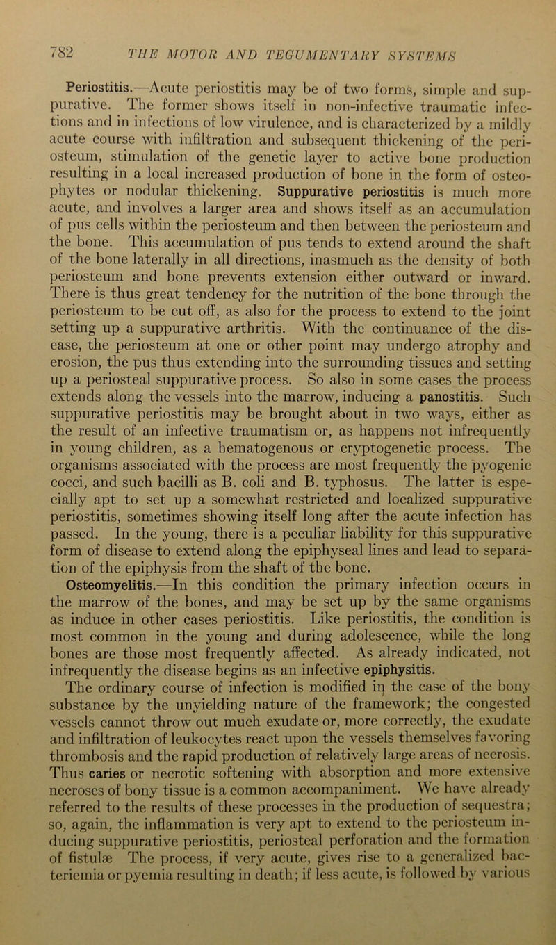 Periostitis.—Acute periostitis may be of two forms, simple and sup- purative. Tlie former shows itself in non-infective traumatic infec- tions and in infections of low virulence, and is characterized by a mildly acute course with infiltration and subsequent thickening of the peri- osteum, stimulation of the genetic layer to active bone production resulting in a local increased production of bone in the form of osteo- phytes or nodular thickening. Suppurative periostitis is much more acute, and involves a larger area and shows itself as an accumulation of pus cells within the periosteum and then between the periosteum and the bone. This accumulation of pus tends to extend around the shaft of the bone laterally in all directions, inasmuch as the density of both periosteum and bone prevents extension either outward or inward. There is thus great tendency for the nutrition of the bone through the periosteum to be cut off, as also for the process to extend to the joint setting up a suppurative arthritis. With the continuanee of the dis- ease, the periosteum at one or other point may undergo atrophy and erosion, the pus thus extending into the surrounding tissues and setting up a periosteal suppurative process. So also in some cases the process extends along the vessels into the marrow, indueing a panostitis. Such suppurative periostitis may be brought about in two ways, either as the result of an infective traumatism or, as happens not infrequently in young children, as a hematogenous or cryptogenetic process. The organisms associated with the process are most frequently the pyogenic cocci, and such bacilli as B. coli and B. typhosus. The latter is espe- cially apt to set up a somewhat restricted and localized suppurative periostitis, sometimes showing itself long after the acute infection has passed. In the young, there is a peculiar liability for this suppurative form of disease to extend along the epiphyseal lines and lead to separa- tion of the epiphysis from the shaft of the bone. Osteomyelitis.—In this condition the primary infection occurs in the marrow of the bones, and may be set up by the same organisms as induce in other cases periostitis. Like periostitis, the condition is most common in the young and during adolescence, while the long bones are those most frequently affected. As already indicated, not infrequently the disease begins as an infective epiphysitis. The ordinary course of infection is modified iq the case of the bony substance by the unyielding nature of the framework; the congested vessels cannot throw out much exudate or, more correctly, the exudate and infiltration of leukocytes react upon the vessels themselves favoring thrombosis and the rapid production of relatively large areas of necrosis. Thus caries or necrotic softening with absorption and more extensive necroses of bony tissue is a common accompaniment. We have already referred to the results of these processes in the production of sequestra; so, again, the inflammation is very apt to extend to the periosteum in- ducing suppurative periostitis, periosteal perforation and the formation of fistulje The process, if very acute, gives rise to a generalizeil bac- teriernia or pyemia resulting in death; if less acute, is followed by various