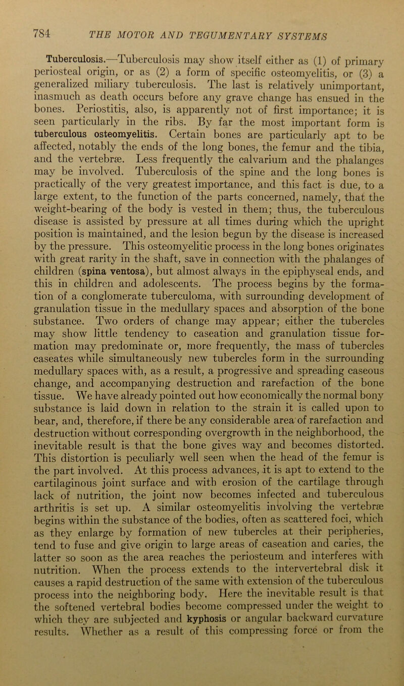 Tuberculosis.—Tuberculosis may show itself either as (1) of primary periosteal origin, or as (2) a form of specific osteomyelitis, or (3) a generalized miliary tuberculosis. The last is relatively unimportant, inasmuch as death occurs before any grave change has ensued in the bones. Periostitis, also, is apparently not of first importance; it is seen particularly in the ribs. By far the most important form is tuberculous osteomyelitis. Certain bones are particularly apt to be affected, notably the ends of the long bones, the femur and the tibia, and the vertebrae. Less frequently the calvarium and the phalanges may be involved. Tuberculosis of the spine and the long bones is practically of the very greatest importance, and this fact is due, to a large extent, to the function of the parts concerned, namely, that the weight-bearing of the body is vested in them; thus, the tuberculous disease is assisted by pressure at all times during which the upright position is maintained, and the lesion begun by the disease is increased by the pressure. This osteomyelitic process in the long bones originates with great rarity in the shaft, save in connection with the phalanges of children (spina ventosa), but almost always in the epiphyseal ends, and this in children and adolescents. The process begins by the forma- tion of a conglomerate tuberculoma, with surrounding development of granulation tissue in the medullary spaces and absorption of the bone substance. Two orders of change may appear; either the tubercles may show little tendency to caseation and granulation tissue for- mation may predominate or, more frequently, the mass of tubercles caseates while simultaneously new tubercles form in the surrounding medullary spaces with, as a result, a progressive and spreading caseous change, and accompanying destruction and rarefaction of the bone tissue. We have already pointed out how economically the normal bony substance is laid down in relation to the strain it is called upon to bear, and, therefore, if there be any considerable area of rarefaction and destruction without corresponding overgrowth in the neighborhood, the inevitable result is that the bone gives way and becomes distorted. This distortion is peculiarly well seen when the head of the femur is the part involved. At this process advances, it is apt to extend to the cartilaginous joint surface and with erosion of the cartilage through lack of nutrition, the joint now becomes infected and tuberculous arthritis is set up. A similar osteomyelitis involving the vertebra begins within the substance of the bodies, often as scattered foci, which as they enlarge by formation of new tubercles at their peripheries, tend to fuse and give origin to large areas of caseation and caries, the latter so soon as the area reaches the periosteum and interferes with nutrition. When the process extends to the intervertebral disk it causes a rapid destruction of the same with extension of the tuberculous process into the neighboring body. Here the inevitable result is that the softened vertebral bodies become compressed under the weight to which they are subjected and kyphosis or angular backward curvature results. Whether as a result of this compressing force or from the