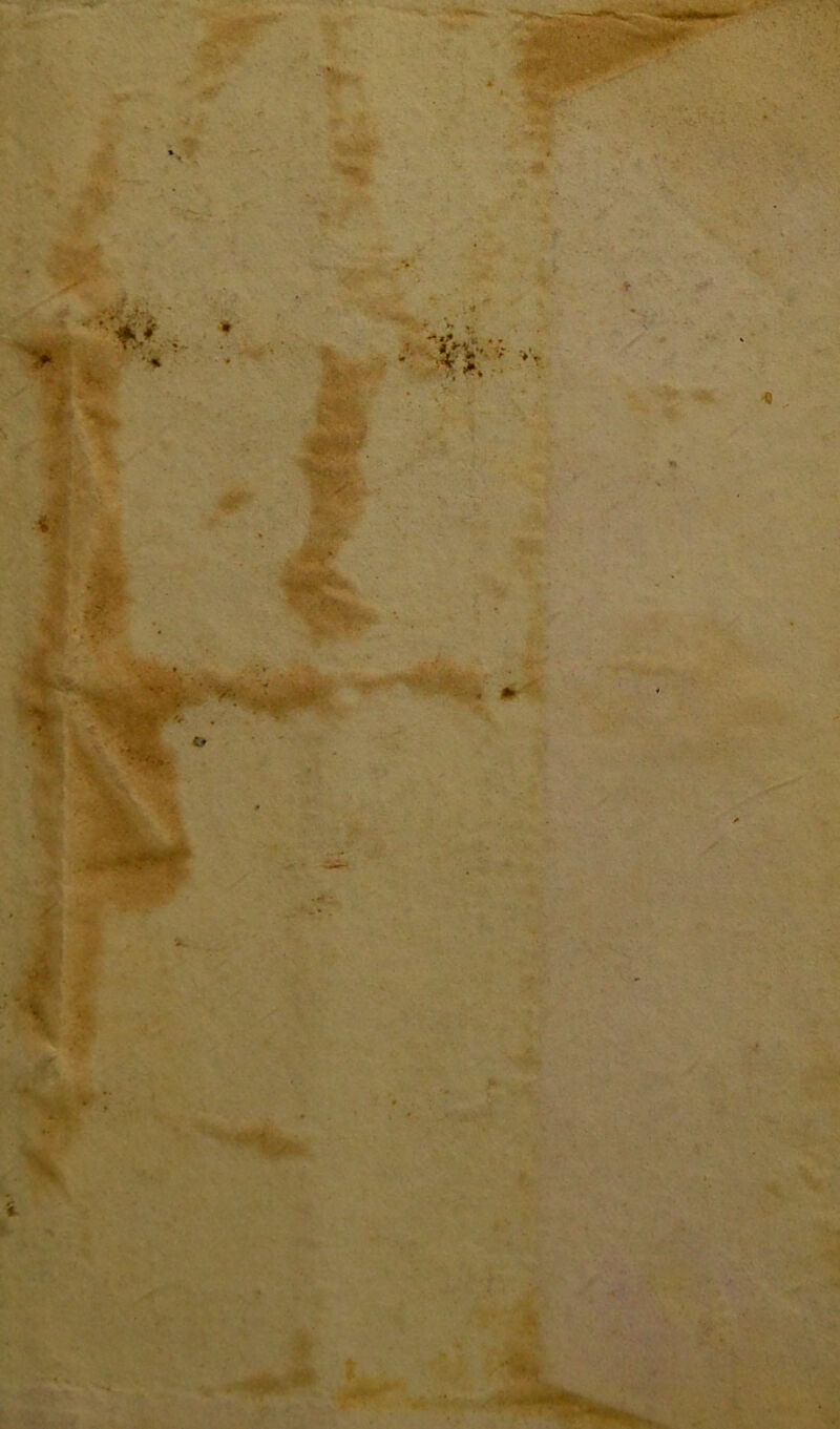 — • —1 — juif :jî^v - - .y-'y m- . m - yÇjït *• J ; «nr:* à.?'',' . «r* ♦ W(i -.ïfjJltA