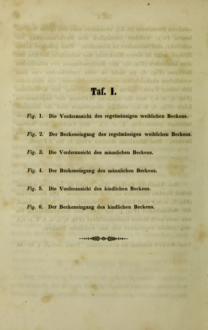 Fig. 1. Die Vorderansicht des regelmässigen weiblichen Beckens. Fig. 2. Der Beckeneingang des regelmässigen weiblichen Beckens. Fig. 3. Die Vorderansicht des männlichen Beckens. Fig. 4. Der Beckeneingang des männlichen Beckens. Fig. 5. Die Vorderansicht des kindlichen Beckens.