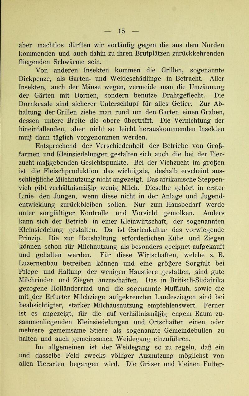 aber machtlos dürften wir vorläufig gegen die aus dem Norden kommenden und auch dahin zu ihren Brutplätzen zurückkehrenden fliegenden Schwärme sein. Von anderen Insekten kommen die Grillen, sogenannte Dickpenze, als Garten- und Weideschädlinge in Betracht. Aller Insekten, auch der Mäuse wegen, vermeide man die Umzäunung der Gärten mit Dornen, sondern benutze Drahtgeflecht. Die Dornkraale sind sicherer Unterschlupf für alles Getier. Zur Ab- haltung der Grillen ziehe man rund um den Garten einen Graben, dessen untere Breite die obere übertrifft. Die Vernichtung der hineinfallenden, aber nicht so leicht herauskommenden Insekten mug dann täglich vorgenommen werden. Entsprechend der Verschiedenheit der Betriebe von Grog- farmen und Kleinsiedelungen gestalten sich auch die bei der Tier- zucht maggebenden Gesichtspunkte. Bei der Viehzucht im grogen ist die Fleischproduktion das wichtigste, deshalb erscheint aus- schliegliche Milchnutzung nicht angezeigt. Das afrikanische Steppen- vieh gibt verhältnismägig wenig Milch. Dieselbe gehört in erster Linie den Jungen, wenn diese nicht in der Anlage und Jugend- entwicklung Zurückbleiben sollen. Nur zum Hausbedarf werde unter sorgfältiger Kontrolle und Vorsicht gemolken. Anders kann sich der Betrieb in einer Kleinwirtschaft, der sogenannten Kleinsiedelung gestalten. Da ist Gartenkultur das vorwiegende Prinzip. Die zur Haushaltung erforderlichen Kühe und Ziegen können schon für Milchnutzung als besonders geeignet aufgekauft und gehalten werden. Für diese Wirtschaften, welche z. B. Luzernenbau betreiben können und eine grögere Sorgfalt bei Pflege und Haltung der wenigen Haustiere gestatten, sind gute Milchrinder und Ziegen anzuschaffen. Das in Britisch-Südafrika gezogene Holländerrind und die sogenannte Muffkuh, sowie die mit der Erfurter Milchziege aufgekreuzten Landesziegen sind bei beabsichtigter, starker Milchausnutzung empfehlenswert. Ferner ist es angezeigt, für die auf verhältnismägig engem Raum zu- sammenliegenden Kleinsiedelungen und Ortschaften einen oder mehrere gemeinsame Stiere als sogenannte Gemeindebullen zu halten und auch gemeinsamen Weidegang einzuführen. Im allgemeinen ist der Weidegang so zu regeln, dag ein und dasselbe Feld zwecks völliger Ausnutzung möglichst von allen Tierarten begangen wird. Die Gräser und kleinen Futter-