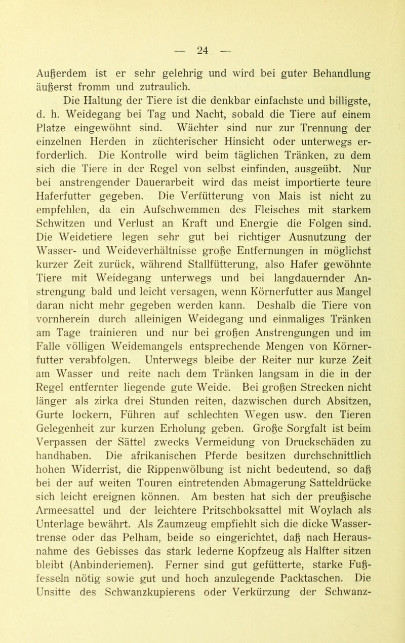 Außerdem ist er sehr gelehrig und wird bei guter Behandlung äußerst fromm und zutraulich. Die Haltung der Tiere ist die denkbar einfachste und billigste, d. h. Weidegang bei Tag und Nacht, sobald die Tiere auf einem Platze eingewöhnt sind. Wächter sind nur zur Trennung der einzelnen Herden in züchterischer Hinsicht oder unterwegs er- forderlich. Die Kontrolle wird beim täglichen Tränken, zu dem sich die Tiere in der Regel von selbst einfinden, ausgeübt. Nur bei anstrengender Dauerarbeit wird das meist importierte teure Haferfutter gegeben. Die Verfütterung von Mais ist nicht zu empfehlen, da ein Aufschwemmen des Fleisches mit starkem Schwitzen und Verlust an Kraft und Energie die Folgen sind. Die Weidetiere legen sehr gut bei richtiger Ausnutzung der Wasser- und Weideverhältnisse große Entfernungen in möglichst kurzer Zeit zurück, während Stallfütterung, also Hafer gewöhnte Tiere mit Weidegang unterwegs und bei langdauernder An- strengung bald und leicht versagen, wenn Körnerfutter aus Mangel daran nicht mehr gegeben werden kann. Deshalb die Tiere von vornherein durch alleinigen Weidegang und einmaliges Tränken am Tage trainieren und nur bei großen Anstrengungen und im Falle völligen Weidemangels entsprechende Mengen von Körner- futter verabfolgen. Unterwegs bleibe der Reiter nur kurze Zeit am Wasser und reite nach dem Tränken langsam in die in der Regel entfernter liegende gute Weide. Bei großen Strecken nicht länger als zirka drei Stunden reiten, dazwischen durch Absitzen, Gurte lockern, Führen auf schlechten Wegen usw. den Tieren Gelegenheit zur kurzen Erholung geben. Große Sorgfalt ist beim Verpassen der Sättel zwecks Vermeidung von Druckschäden zu handhaben. Die afrikanischen Pferde besitzen durchschnittlich hohen Widerrist, die Rippenwölbung ist nicht bedeutend, so daß bei der auf weiten Touren eintretenden Abmagerung Satteldrücke sich leicht ereignen können. Am besten hat sich der preußische Armeesattel und der leichtere Pritschboksattel mit Woylach als Unterlage bewährt. Als Zaumzeug empfiehlt sich die dicke Wasser- trense oder das Pelham, beide so eingerichtet, daß nach Heraus- nahme des Gebisses das stark lederne Kopfzeug als Halfter sitzen bleibt (Anbinderiemen). Ferner sind gut gefütterte, starke Fuß- fesseln nötig sowie gut und hoch anzulegende Packtaschen. Die Unsitte des Schwanzkupierens oder Verkürzung der Schwanz-