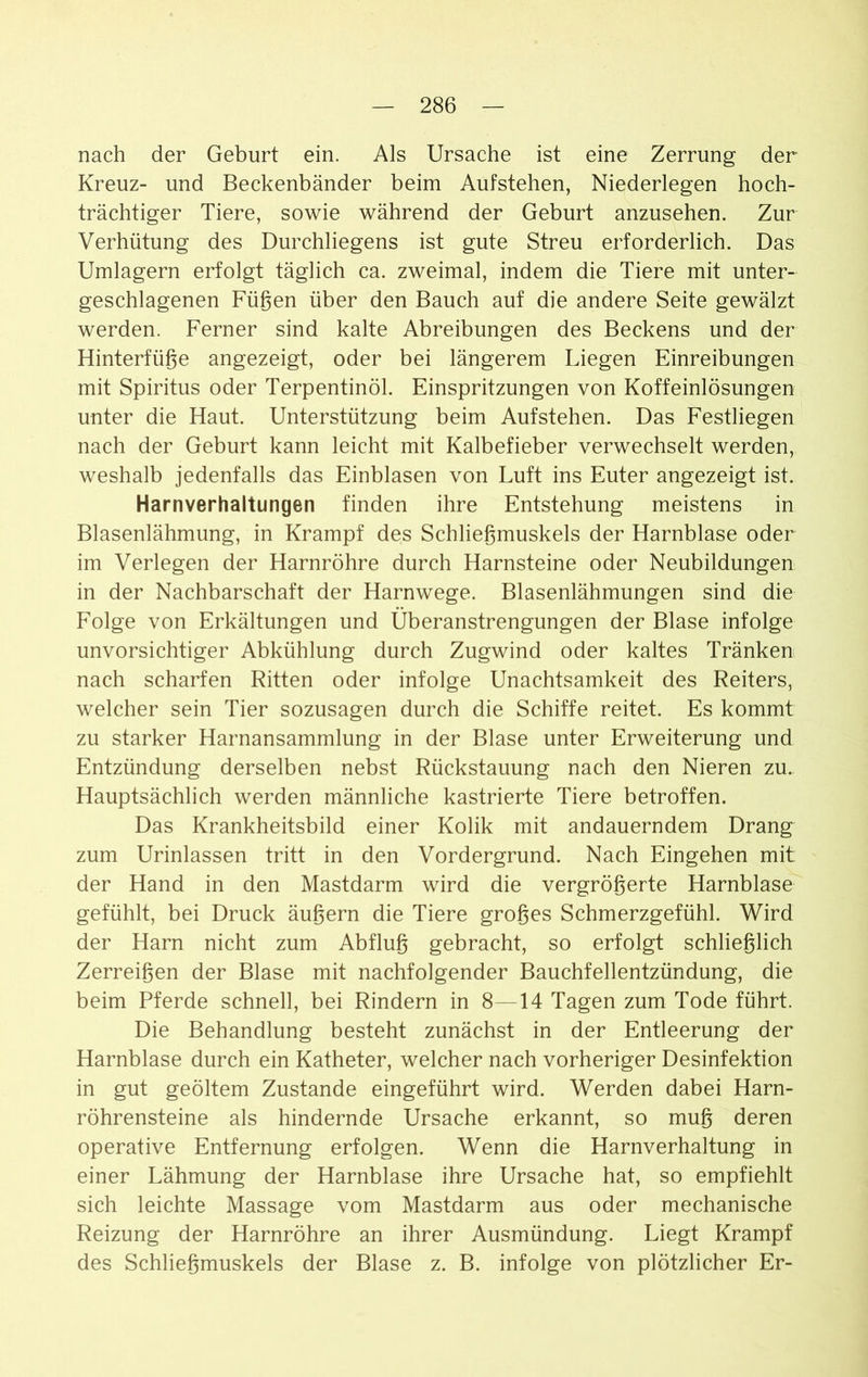 nach der Geburt ein. Als Ursache ist eine Zerrung der Kreuz- und Beckenbänder beim Aufstehen, Niederlegen hoch- trächtiger Tiere, sowie während der Geburt anzusehen. Zur Verhütung des Durchliegens ist gute Streu erforderlich. Das Umlagern erfolgt täglich ca. zweimal, indem die Tiere mit unter- geschlagenen Fügen über den Bauch auf die andere Seite gewälzt werden. Ferner sind kalte Abreibungen des Beckens und der Hinterfüge angezeigt, oder bei längerem Liegen Einreibungen mit Spiritus oder Terpentinöl. Einspritzungen von Koffeinlösungen unter die Haut. Unterstützung beim Aufstehen. Das Festliegen nach der Geburt kann leicht mit Kalbefieber verwechselt werden, weshalb jedenfalls das Einblasen von Luft ins Euter angezeigt ist. Harnverhaltungen finden ihre Entstehung meistens in Blasenlähmung, in Krampf des Schliegmuskels der Harnblase oder im Verlegen der Harnröhre durch Harnsteine oder Neubildungen in der Nachbarschaft der Harnwege. Blasenlähmungen sind die Folge von Erkältungen und Überanstrengungen der Blase infolge unvorsichtiger Abkühlung durch Zugwind oder kaltes Tränken nach scharfen Ritten oder infolge Unachtsamkeit des Reiters, welcher sein Tier sozusagen durch die Schiffe reitet. Es kommt zu starker Harnansammlung in der Blase unter Erweiterung und Entzündung derselben nebst Rückstauung nach den Nieren zu. Hauptsächlich werden männliche kastrierte Tiere betroffen. Das Krankheitsbild einer Kolik mit andauerndem Drang zum Urinlassen tritt in den Vordergrund. Nach Eingehen mit der Hand in den Mastdarm wird die vergrößerte Harnblase gefühlt, bei Druck äußern die Tiere großes Schmerzgefühl. Wird der Harn nicht zum Abfluß gebracht, so erfolgt schließlich Zerreißen der Blase mit nachfolgender Bauchfellentzündung, die beim Pferde schnell, bei Rindern in 8—14 Tagen zum Tode führt. Die Behandlung besteht zunächst in der Entleerung der Harnblase durch ein Katheter, welcher nach vorheriger Desinfektion in gut geöltem Zustande eingeführt wird. Werden dabei Harn- röhrensteine als hindernde Ursache erkannt, so muß deren operative Entfernung erfolgen. Wenn die Harnverhaltung in einer Lähmung der Harnblase ihre Ursache hat, so empfiehlt sich leichte Massage vom Mastdarm aus oder mechanische Reizung der Harnröhre an ihrer Ausmündung. Liegt Krampf des Schließmuskels der Blase z. B. infolge von plötzlicher Er-