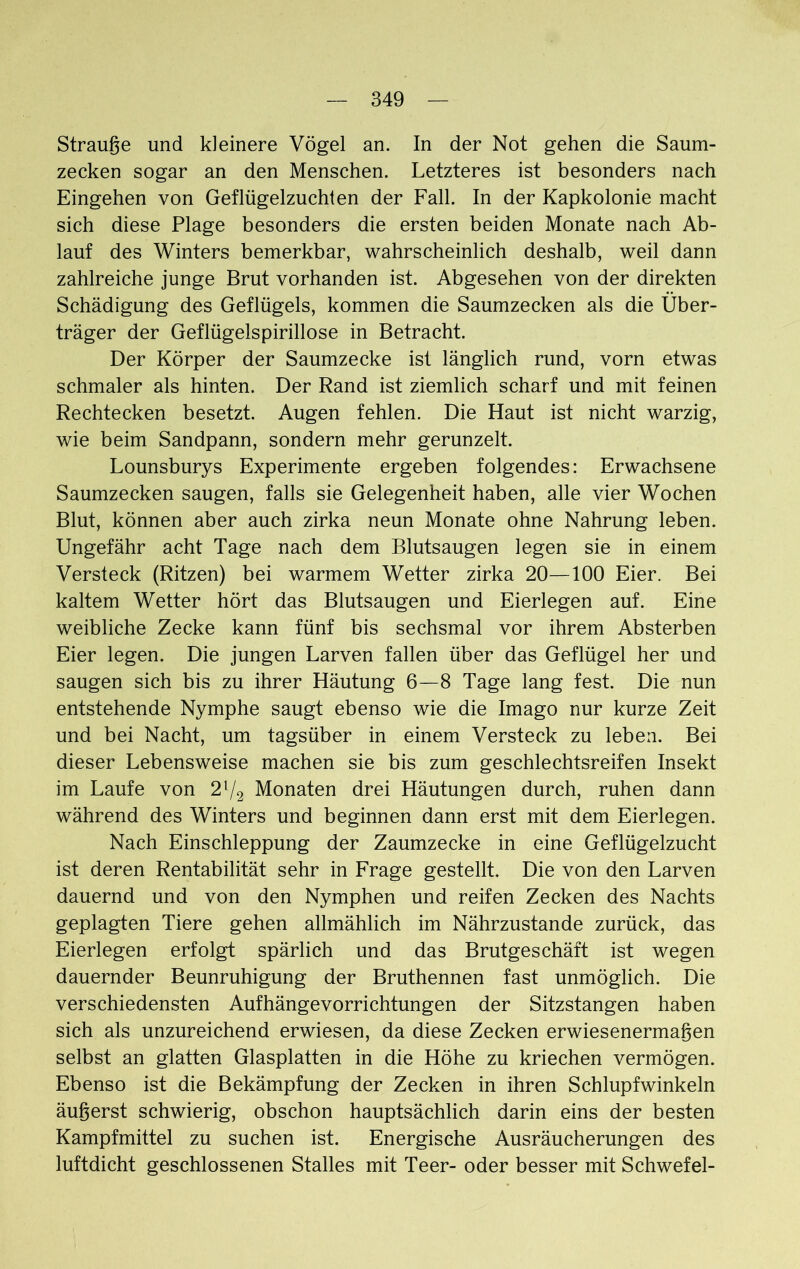 Strauße und kleinere Vögel an. In der Not gehen die Saum- zecken sogar an den Menschen. Letzteres ist besonders nach Eingehen von Geflügelzuchten der Fall. In der Kapkolonie macht sich diese Plage besonders die ersten beiden Monate nach Ab- lauf des Winters bemerkbar, wahrscheinlich deshalb, weil dann zahlreiche junge Brut vorhanden ist. Abgesehen von der direkten Schädigung des Geflügels, kommen die Saumzecken als die Über- träger der Geflügelspirillose in Betracht. Der Körper der Saumzecke ist länglich rund, vorn etwas schmaler als hinten. Der Rand ist ziemlich scharf und mit feinen Rechtecken besetzt. Augen fehlen. Die Haut ist nicht warzig, wie beim Sandpann, sondern mehr gerunzelt. Lounsburys Experimente ergeben folgendes: Erwachsene Saumzecken saugen, falls sie Gelegenheit haben, alle vier Wochen Blut, können aber auch zirka neun Monate ohne Nahrung leben. Ungefähr acht Tage nach dem Blutsaugen legen sie in einem Versteck (Ritzen) bei warmem Wetter zirka 20—100 Eier. Bei kaltem Wetter hört das Blutsaugen und Eierlegen auf. Eine weibliche Zecke kann fünf bis sechsmal vor ihrem Absterben Eier legen. Die jungen Larven fallen über das Geflügel her und saugen sich bis zu ihrer Häutung 6—8 Tage lang fest. Die nun entstehende Nymphe saugt ebenso wie die Imago nur kurze Zeit und bei Nacht, um tagsüber in einem Versteck zu leben. Bei dieser Lebensweise machen sie bis zum geschlechtsreifen Insekt im Laufe von 21/2 Monaten drei Häutungen durch, ruhen dann während des Winters und beginnen dann erst mit dem Eierlegen. Nach Einschleppung der Zaumzecke in eine Geflügelzucht ist deren Rentabilität sehr in Frage gestellt. Die von den Larven dauernd und von den Nymphen und reifen Zecken des Nachts geplagten Tiere gehen allmählich im Nährzustande zurück, das Eierlegen erfolgt spärlich und das Brutgeschäft ist wegen dauernder Beunruhigung der Bruthennen fast unmöglich. Die verschiedensten Aufhängevorrichtungen der Sitzstangen haben sich als unzureichend erwiesen, da diese Zecken erwiesenermaßen selbst an glatten Glasplatten in die Höhe zu kriechen vermögen. Ebenso ist die Bekämpfung der Zecken in ihren Schlupfwinkeln äußerst schwierig, obschon hauptsächlich darin eins der besten Kampfmittel zu suchen ist. Energische Ausräucherungen des luftdicht geschlossenen Stalles mit Teer- oder besser mit Schwefel-