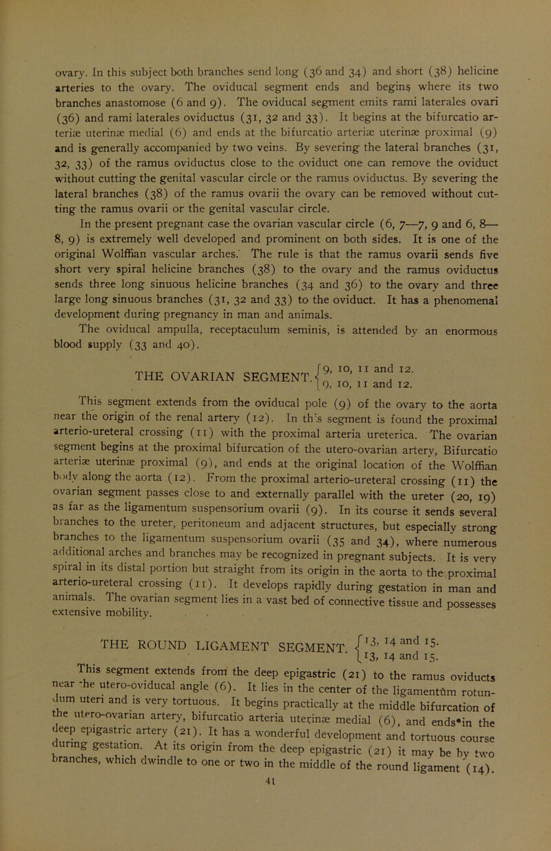ovary. In this subject both branches send long (36 and 34) and short (38) helicine arteries to the ovary. The oviducal segment ends and begin§ where its two branches anastomose (6 and 9). The oviducal segment emits rami laterales ovari (36) and rami laterales oviductus (31, 32 and 33). It begins at the bifurcatio ar- terise uterinae medial (6) and ends at the bifurcatio arteriae uterinae proximal (9) and is generally accompanied by two veins. By severing the lateral branches (31, 32, 33) of the ramus oviductus close to the oviduct one can remove the oviduct without cutting the genital vascular circle or the ramus oviductus. By severing the lateral branches (38) of the ramus ovarii the ovary can be removed without cut- ting the ramus ovarii or the genital vascular circle. In the present pregnant case the ovarian vascular circle (6, 7—7, 9 and 6, 8— 8, 9) is extremely well developed and prominent on both sides. It is one of the original Wolffian vascular arches.' The rule is that the ramus ovarii sends five short very spiral helicine branches (38) to the ovary and the ramus oviductus sends three long sinuous helicine branches (34 and 36) to the ovary and three large long sinuous branches (31, 32 and 33) to the oviduct. It has a phenomenal development during pregnancy in man and animals. The oviducal ampulla, receptaculum seminis, is attended by an enormous blood supply (33 and 40). This segment extends from the oviducal pole (9) of the ovary to the aorta near the origin of the renal artery (12). In this segment is found the proximal arterio-ureteral crossing (n) with the proximal arteria ureterica. The ovarian segment begins at the proximal bifurcation of the utero-ovarian artery, Bifurcatio arterise uterinae proximal (9), and ends at the original location of the Wolffian body along the aorta (12). From the proximal arterio-ureteral crossing (11) the ovarian segment passes close to and externally parallel with the ureter (20, 19) as far as the ligamentum suspensorium ovarii (9). In its course it sends several branches to the ureter, peritoneum and adjacent structures, but especially strong branches to the ligamentum suspensorium ovarii (35 and 34), where numerous additional arches and branches may be recognized in pregnant subjects. It is verv spiral in its distal portion but straight from its origin in the aorta to the proximal arterio-ureteral crossing (11). It develops rapidly during gestation in man and animals. The ovarian segment lies in a vast bed of connective tissue and possesses extensive mobility. This segment extends from the deep epigastric (21) to the ramus oviducts near -he utero-oviducal angle (6). It lies in the center of the ligamenthm rotun- , urn uteri and is very tortuous. It begins practically at the middle bifurcation of t e utPr°-°varian artery, bifurcatio arteria uterinae medial f(A snH THE OVARIAN SEGMENT. 9, 10, 11 and 12. 9, 10, 11 and 12. THE ROUND LIGAMENT SEGMENT. 13, 14 and 15. 13, 14 and 15.