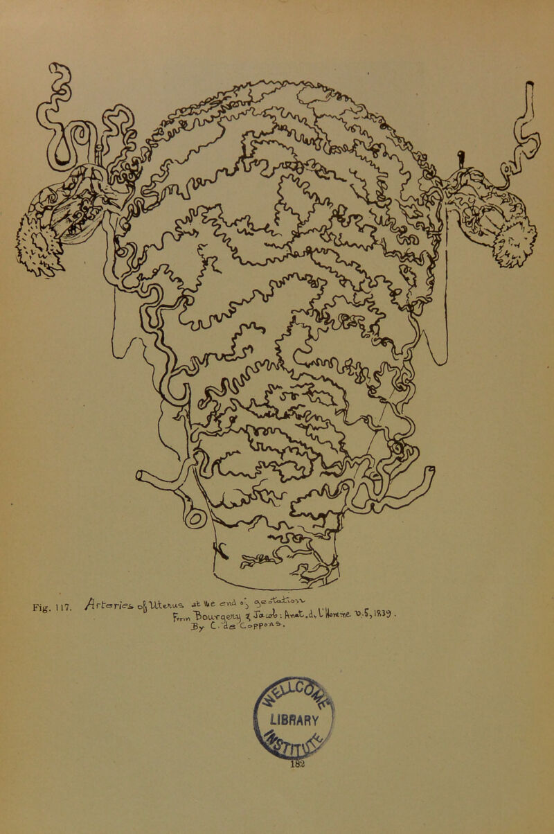 /irb jk \Ue a\ c^eu'toitoT.v enei ofitlteAUS. „ - .,,. r {vnv> 'ftoU.TqeTUl t, Jo-lOTJ . f\*\«£' .dv v nontink. ’W.-S, • 3y c. tlfi Copp-AS. 12