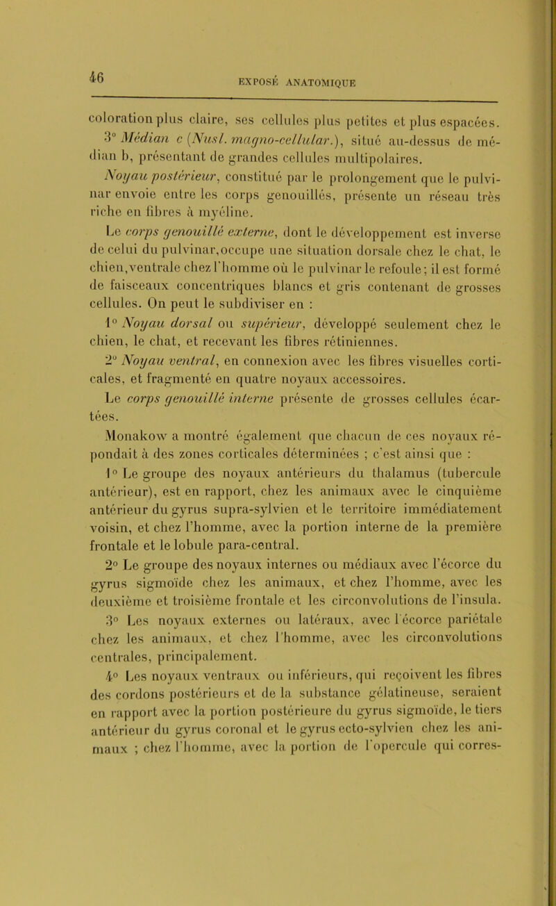 coloration plus claire, ses cellules plus petites et plus espacées. •1° Médian c (Nusl. magno-cellular.), situé au-dessus de mé- dian b, présentant de grandes cellules multipolaires. Noyau postérieur, constitué par le prolongement que le pulvi- nar envoie entre les corps genouillés, présente un réseau très riche en fibres à myéline. Le corps genouillé externe, dont le développement est inverse de celui du pulviuar,occupe une situation dorsale chez le chat, le chien, ventrale chez l'homme où le pu lvinar le refoule; il est formé de faisceaux concentriques blancs et gris contenant de grosses cellules. On peut le subdiviser en : 1° Noyau dorsal ou supérieur, développé seulement chez le chien, le chat, et recevant les fibres rétiniennes. 2° Noyau ventral, en connexion avec les fibres visuelles corti- cales, et fragmenté en quatre noyaux accessoires. Le corps genouillé interne présente de grosses cellules écar- tées. Monakow a montré également que chacun de ces noyaux ré- pondait à des zones corticales déterminées ; c’est ainsi que : 1° Le groupe des noyaux antérieurs du thalamus (tubercule antérieur), est en rapport, chez les animaux avec le cinquième antérieur du gyrus supra-sylvien et le territoire immédiatement voisin, et chez l’homme, avec la portion interne de la première frontale et le lobule para-central. 2° Le groupe des noyaux internes ou médiaux avec l’écorce du gyrus sigmoïde chez les animaux, et chez l’homme, avec les deuxième et troisième frontale et les circonvolutions de l’insula. 3° Les noyaux externes ou latéraux, avec l ecorce pariétale chez les animaux, et chez l’homme, avec les circonvolutions centrales, principalement. 4° Les noyaux ventraux ou inférieurs, qui reçoivent les libres des cordons postérieurs et de la substance gélatineuse, seraient en rapport avec la portion postérieure du gyrus sigmoïde, le tiers antérieur du gyrus coronal et le gyrus ecto-sylvien chez les ani- maux ; chez l’homme, avec la portion de l'opercule qui corres-