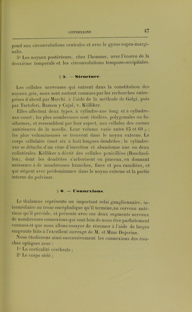 pond aux circonvolutions centrales et avec le gyrus supra-margi nalis. o° Les noyaux postérieurs, chez l’homme, avec l’écorce de la deuxième temporale et les circonvolutions temporo-occipitales. § 5. — Structure. Les cellules nerveuses qui entrent dans la constitution des noyaux gris, nous sont surtout connues par les recherches entre- prises d'abord par Marchi, à l’aide de la méthode de Golgi, puis par Tartuferi, Ramon y Cajal, v. Kôlliker. Elles affectent deux types, à cylindre-axe long et à cylindre- axe court ; les plus nombreuses sont étoilées, polygonales ou fu- siformes, et ressemblent par leur aspect, aux cellules des cornes antérieures de la moelle. Leur volume varie entre 15 et 60 u. ; les plus volumineuses se trouvent dans le noyau externe. Le corps cellulaire émet six à huit longues dendrites ; le cylindre- axe se détache d’un cône d’insertion et abandonne une ou deux collatérales. Kôlliker a décrit des cellules pénicillées (Buschzel- len), dont les dendrites s’arborisent en pinceau, en donnant naissance à de nombreuses branches, fines et peu ramifiées, et qui siègent avec prédominance dans le noyau externe et la partie interne du pulvinar. § <». — Connexions. Le thalamus représente un important relai ganglionnaire, in- termédiaire au tronc encéphalique qu’il termine,au cerveau anté- rieur qu’il précède, et présente avec, ces deux segments nerveux de nombreuses connexions qui sont loin de nous être parfaitement connues et que nous allons essayer de résumer à l’aide de larges emprunts faits à l’excellent ouvrage de M. et Mme Dejerine. Nous étudierons ainsi successivement les connexions des Cou- ches optiques avec : 1° La corticalité cérébrale ; 2° Le corps strié ;