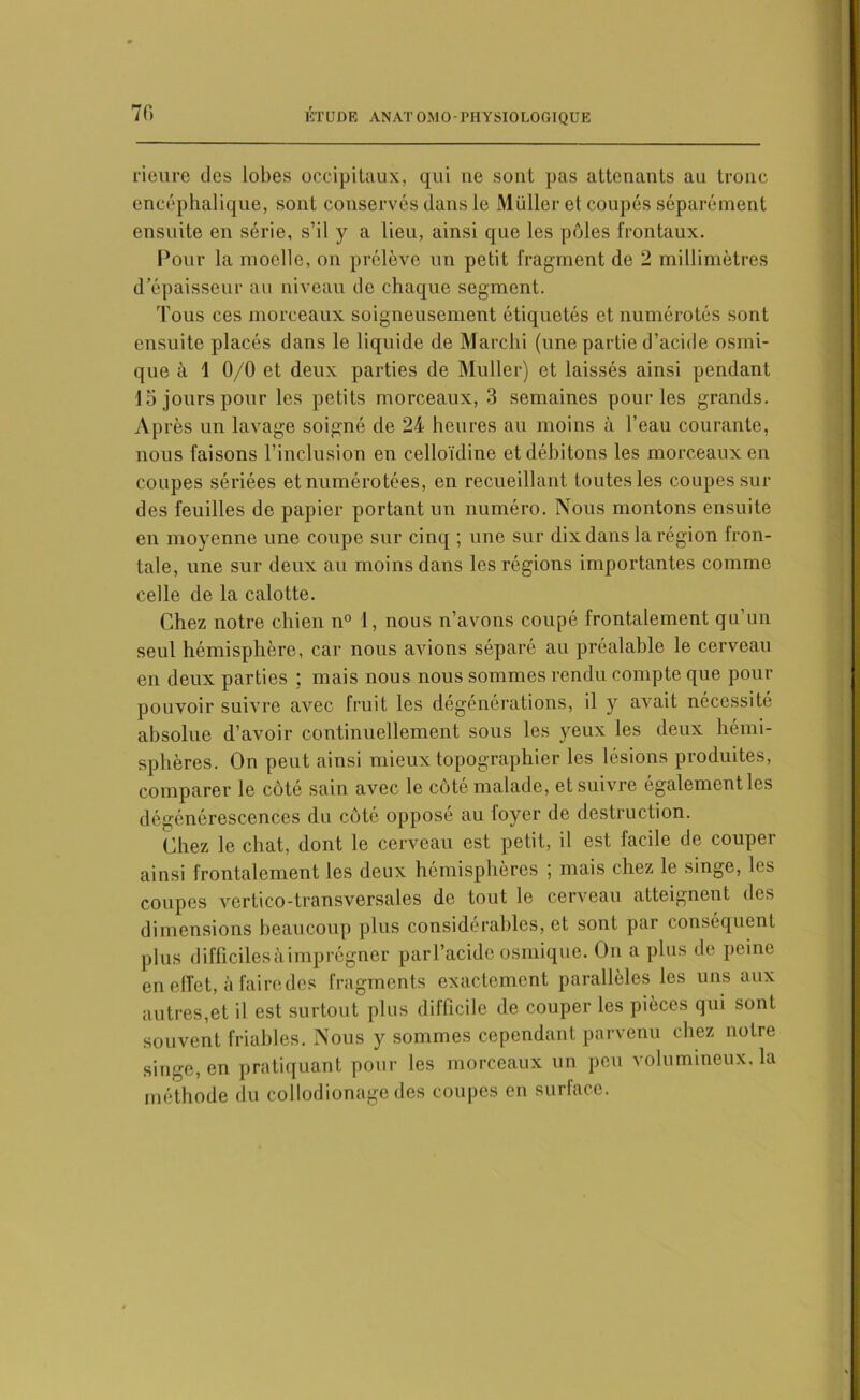 Heure des lobes occipitaux, qui ne sont pas attenants au tronc encéphalique, sont conservés dans le Muller cl coupés séparément ensuite en série, s’il y a lieu, ainsi que les pôles frontaux. Pour la moelle, on prélève un petit fragment de 2 millimètres d’épaisseur au niveau de chaque segment. Tous ces morceaux soigneusement étiquetés et numérotés sont ensuite placés dans le liquide de Marchi (une partie d’acide osmi- que à 1 0/0 et deux parties de Muller) et laissés ainsi pendant ld jours pour les petits morceaux, 3 semaines pour les grands. A p rès un lavage soigné de 24 heures au moins à l’eau courante, nous faisons l’inclusion en celloïdine et débitons les morceaux en coupes sériées et numérotées, en recueillant toutes les coupes sur des feuilles de papier portant un numéro. Nous montons ensuite en moyenne une coupe sur cinq ; une sur dix dans la région fron- tale, une sur deux au moins dans les régions importantes comme celle de la calotte. Chez notre chien n° 1, nous n’avons coupé frontalement qu’un seul hémisphère, car nous avions séparé au préalable le cerveau en deux parties ; mais nous nous sommes rendu compte que pour pouvoir suivre avec fruit les dégénérations, il y avait nécessité absolue d’avoir continuellement sous les yeux les deux hémi- sphères. On peut ainsi mieux topographier les lésions produites, comparer le côté sain avec le côté malade, et suivre également les dégénérescences du côté opposé au loyer de destruction. Chez le chat, dont le cerveau est petit, il est facile de couper ainsi frontalement les deux hémisphères ; mais chez le singe, les coupes vertico-transversales de tout le cerveau atteignent des dimensions beaucoup plus considérables, et sont par conséquent plus difficiles à imprégner par l’acide osmique. On a plus de peine en effet, à faire des fragments exactement parallèles les uns aux autres,et il est surtout plus difficile de couper les pièces qui sont souvent friables. Nous y sommes cependant parvenu chez notre singe, en pratiquant pour les morceaux un peu volumineux, la méthode du coliodionage des coupes en surface.