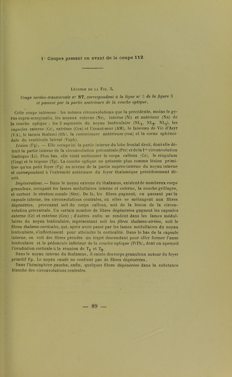 Légende de la Fig. 5. Coupe vertico-transversale n° 87, correspondant à la ligne n° 5 de la figure 3 et passant par la partie antérieure de la couche optigue. Celle coupe intéresse : les mêmes circonvolutions que la précédente, moins le gy- rus supra-marginalis, les noyaux externe (Ne), interne (Ni) et antérieur (Na) de la couche optique ; les 3 segments du noyau lenticulaire (NL^ NL2, NLa), les capsules externe (Ce), extrême (Cex) et l’avant-mur (AM), le faisceau de Vie d’Azyr (VA), le taenia thalami (tlh), la commissure antérieure (coa) et la corne sphénoï- dale du ventricule latéral tVsph). Lésion (Fp). — Elle occupeici la partie interne du lobe frontal droit, dontelle dé- truit la partie interne de la circonvolution précentrale (Prc) et de lai” circonvolution limbique (Li). Plus bas. elle vient sectionner le corps calleux (Ce), le cingulum (Cing)et le trigone (Tg). La couche optique ne présente plus comme lésion primi- tive qu’un petit foyer (Fp) au niveau de la partie supéro-interne du noyau interne et correspondant à l’extrémité antérieure du foyer thalamique précédemment dé- crit. Dégénérations.— Dans le noyau externe du thalamus, existentde nombreux corps granuleux, occupant les lames médullaires interne et externe, la couche grillagée, et surtout le stratum zonale (Strz). De là, les fibres gagnent, en passant par la capsule interne, les circonvolutions centrales, où elles se mélangent aux fibres dégénérées, provenant soit du corps calleux, soit de la lésion de la circon- volution précentrale. Un certain nombre de fibres dégénérées gagnent les capsules externe (Ce) et extrême (Cex) ; d’autres enfin se rendent dans les lames médul- laires du noyau lenticulaire, représentant soit les fibres thalamo-striées, soit le fibres thalamo-corlicales, qui, après avoir passé par les lames médullaires du noyau lenticulaire, s’infléchissent pour atteindre la corticalité. Dans le bas de la capsule interne, on voit des fibres prendre un trajet descendant pour aller former l’anse lenticulaire et Je pédoncule inférieur de la couche optique (PiTh), dont on aperçoit l’irradiation corticale à la réunion de et I2. Dans le noyau interne du thalamus, il existe descorps granuleux autour du foyer primitif Fp. Le noyau caudé ne contient pas de fibres dégénérées. Dans l’hémisphère gauche, enfin, quelques fibres dégénérées dans la substance blanche des circonvolutions centrales.