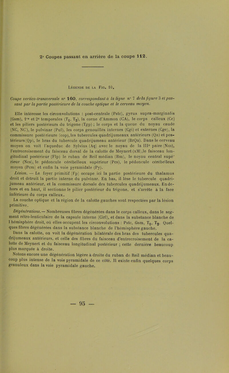 Légende de la Fig. 10. Coupe vertico-lransversale n° 160, correspondant à la ligne n° 7 delà figure 3 et pas- sant par la partie postérieure de la couche optique et le cerveau moyen. Elle intéresse les circonvolutions : post-centrale (Pstc), gyrus supra-marginalis (üsm), lr» et 26 temporales (Tj, T2), la corne d’Ammon (CA), le corps calleux (Ce) et les piliers postérieurs du trigone (Tgp) ; le corps et la queue du noyau caudé (NC, NC), le pulvinar (Pul), les corps genouillés internes (Cgi) et externes (Cge), la commissure postérieure (cop),les tubercules quadrijumeaux antérieurs (Qa) et pos- térieurs(Qp), le bras du tubercule quadrijumeau antérieur (BrQa). Dans le cerveau moyen on voit l'aqueduc de Sylvius (Aq) avec le noyau de la IIIe paire (Nui), l’entrecroisement du faisceau dorsal de la calotte de Meynert (xM),le faisceau lon- gitudinal postérieur (Flp) le ruban de Reil médian (Rm), le noyau central supé' rieur (Ncs), le pédoncule cérébelleux supérieur (Pcs), le pédoncule cérébelleux moyen (Pcm) et enfin la voie pyramidale (Py). Lésion. — Le foyer primitif (Fp) occupe ici la partie postérieure du thalamus droit et détruit la partie interne du pulvinar. En bas, il lèse le tubercule quadri- jumeau antérieur, et la commissure dorsale des tubercules quadrijumeaux. Ende- hors et en haut, il sectionne le pilier postérieur du trigone, et s’arrête à la face inférieure du corps calleux. La couche optique et la région de la calotte gauches sont respectées par la lésion primitive. Dégénérations.— Nombreuses fibres dégénérées dans le corps calleux, dans le seg- ment rétro-lenticulaire de la capsule interne (Girl), et dans la substance blanche de 1 hémisphère droit, où elles occupent les circonvolutions: Pstc, Gsm, Tj, T2. Quel- ques fibres dégénérées dans la substance blanche de l’hémisphère gauche. Dans la calotte, on voit la dégénération bilatérale des bras des tubercules qua- drijumeaux antérieurs, et celle des fibres du faisceau d’entrecroisement de la ca- lotte de Meynert et du faisceau longitudinal postérieur ; cette dernière beaucoup plus marquée à droite. Notons encore une dégénéralion légère à droite du ruban de Reil médian et beau- coup plus intense de la voie pyramidale de ce côté. Il existe enfin quelques corps granuleux dans la voie pyramidale gauche.